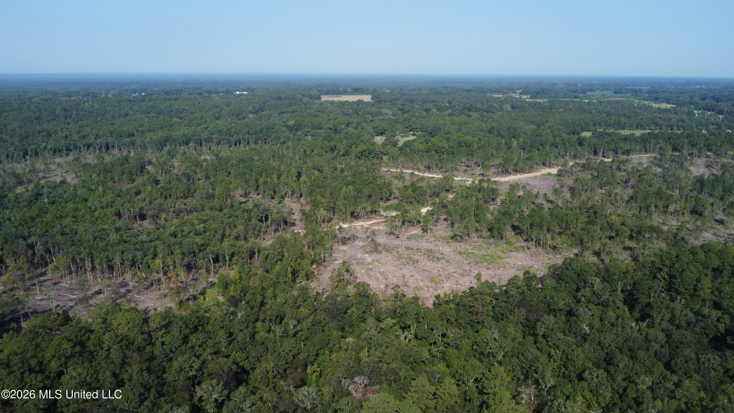 156.3 Acres Beesley Road Property Photo 19