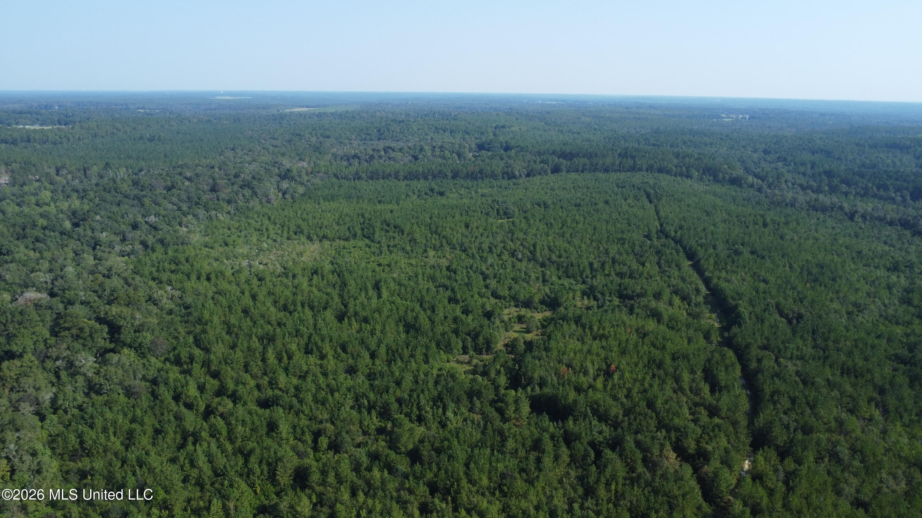 156.3 Acres Beesley Road Property Photo 20