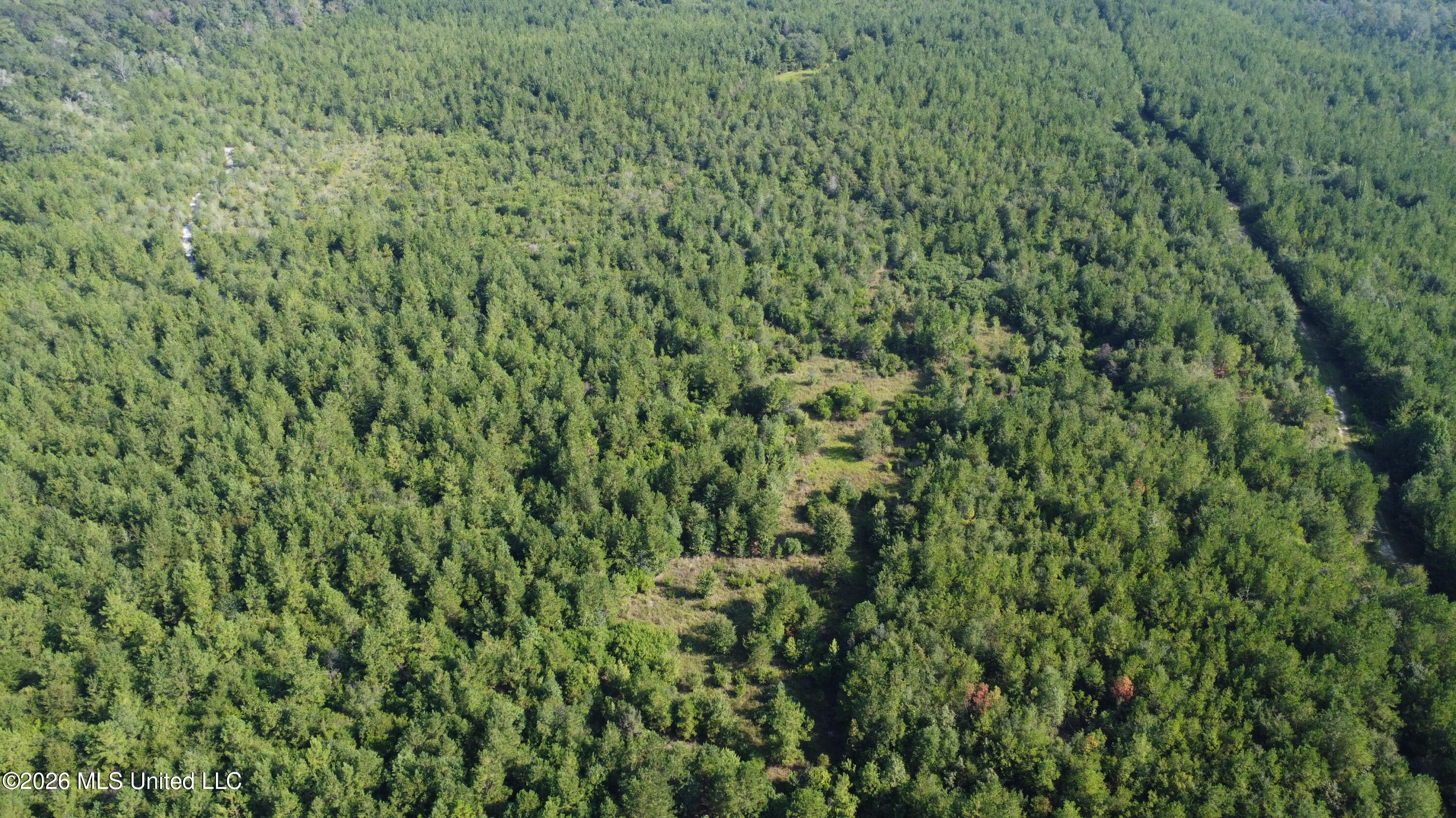 156.3 Acres Beesley Road Property Photo 21