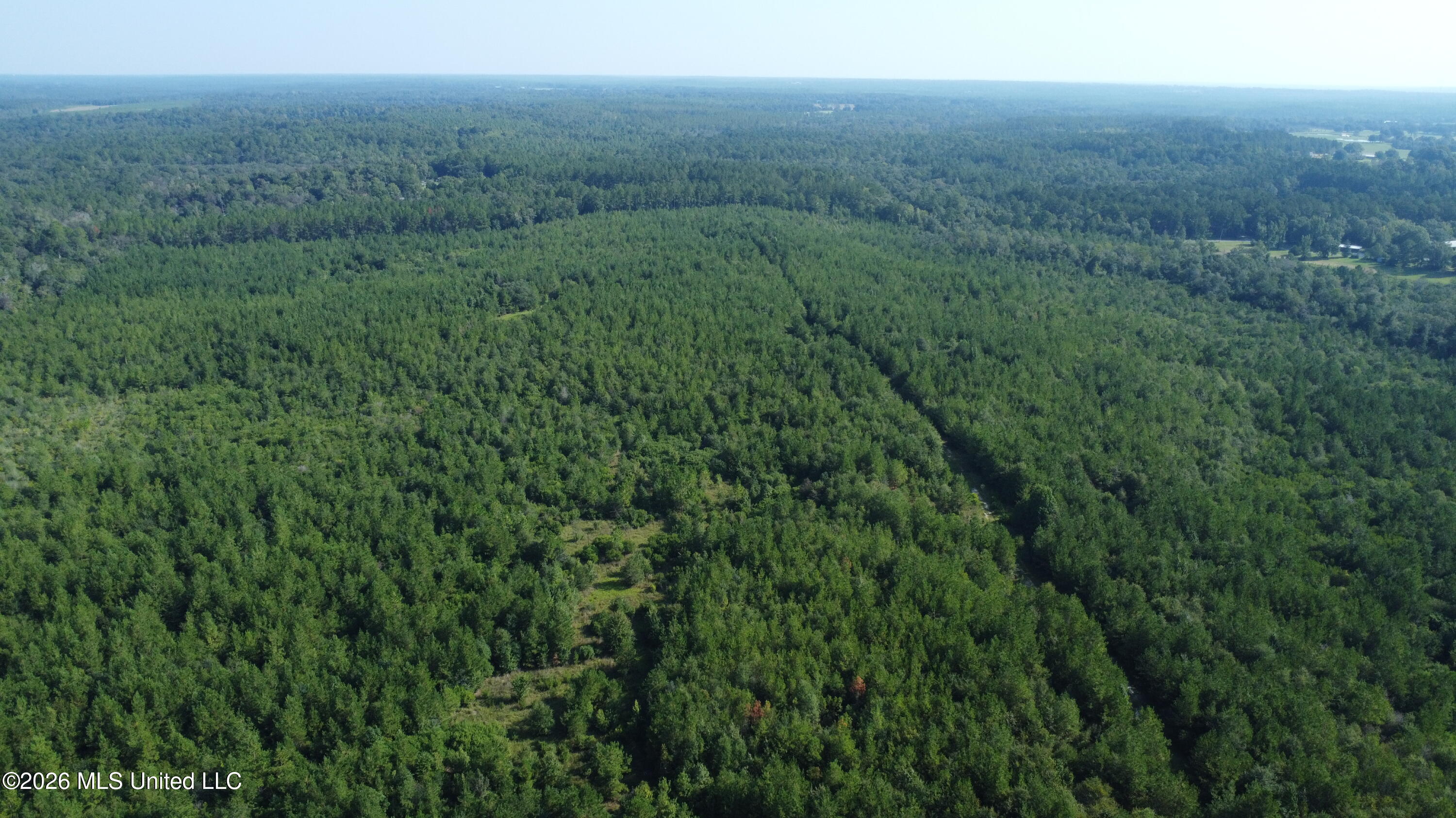 156.3 Acres Beesley Road Property Photo 22