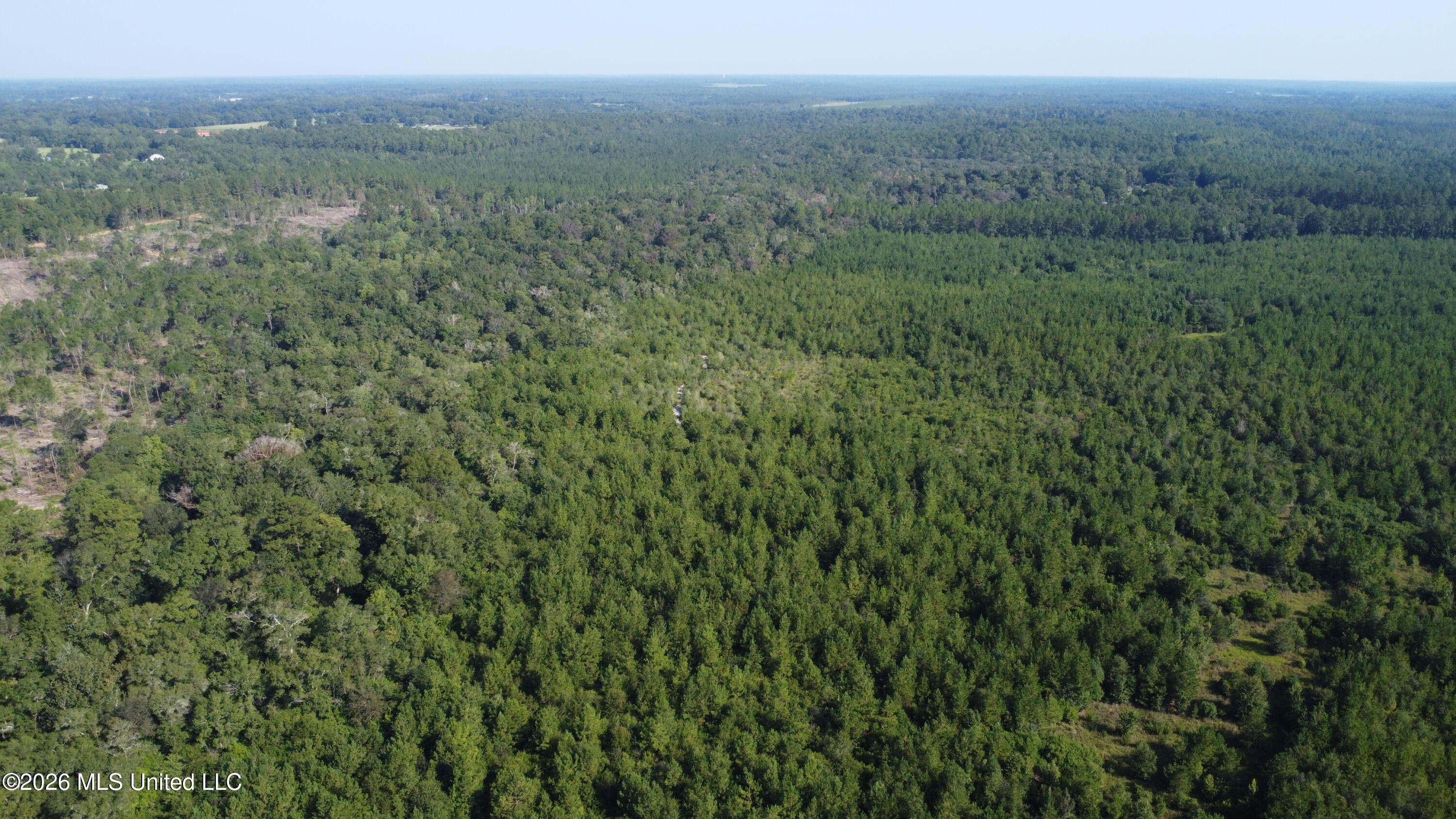 156.3 Acres Beesley Road Property Photo 23