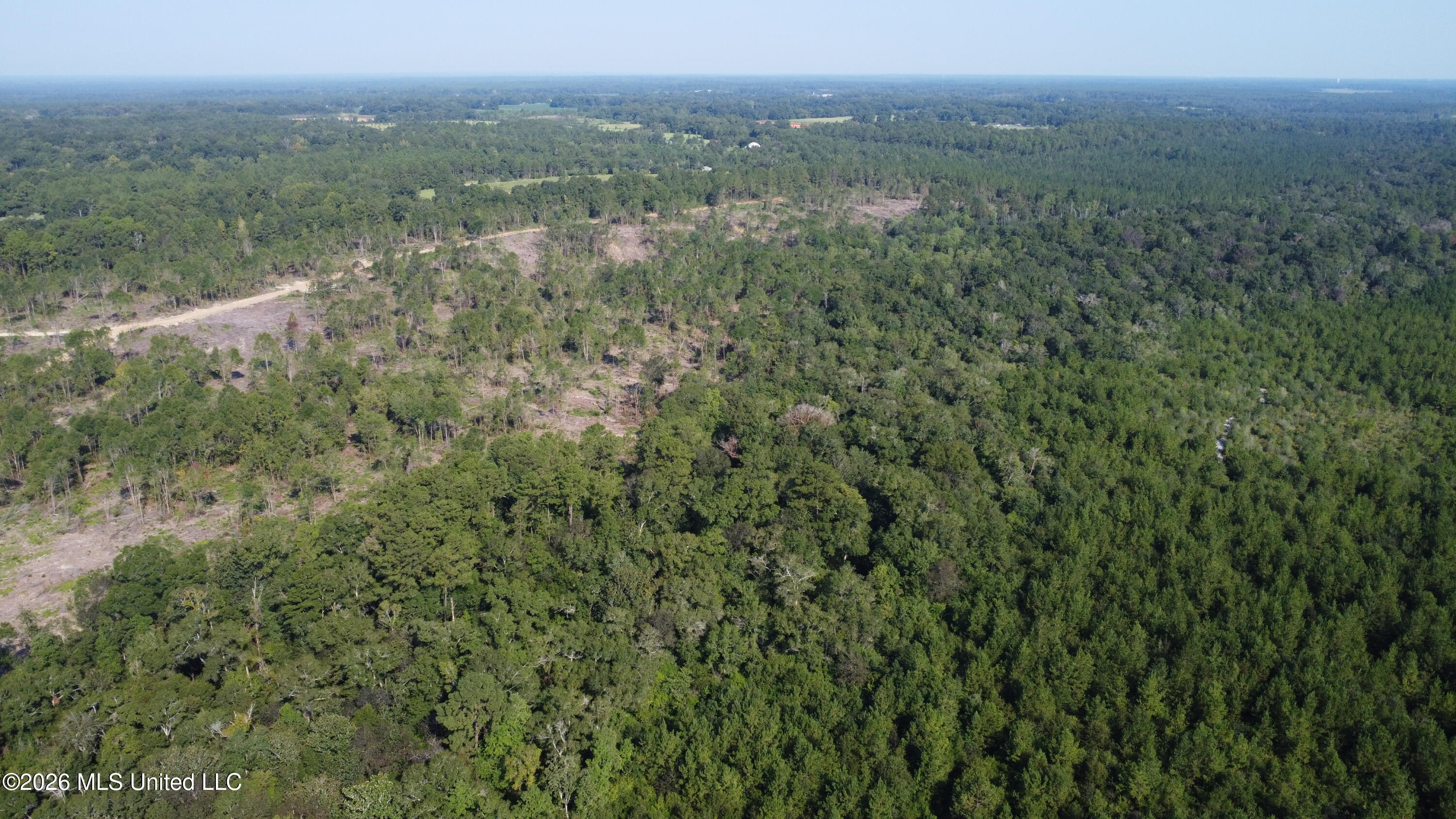 156.3 Acres Beesley Road Property Photo 24
