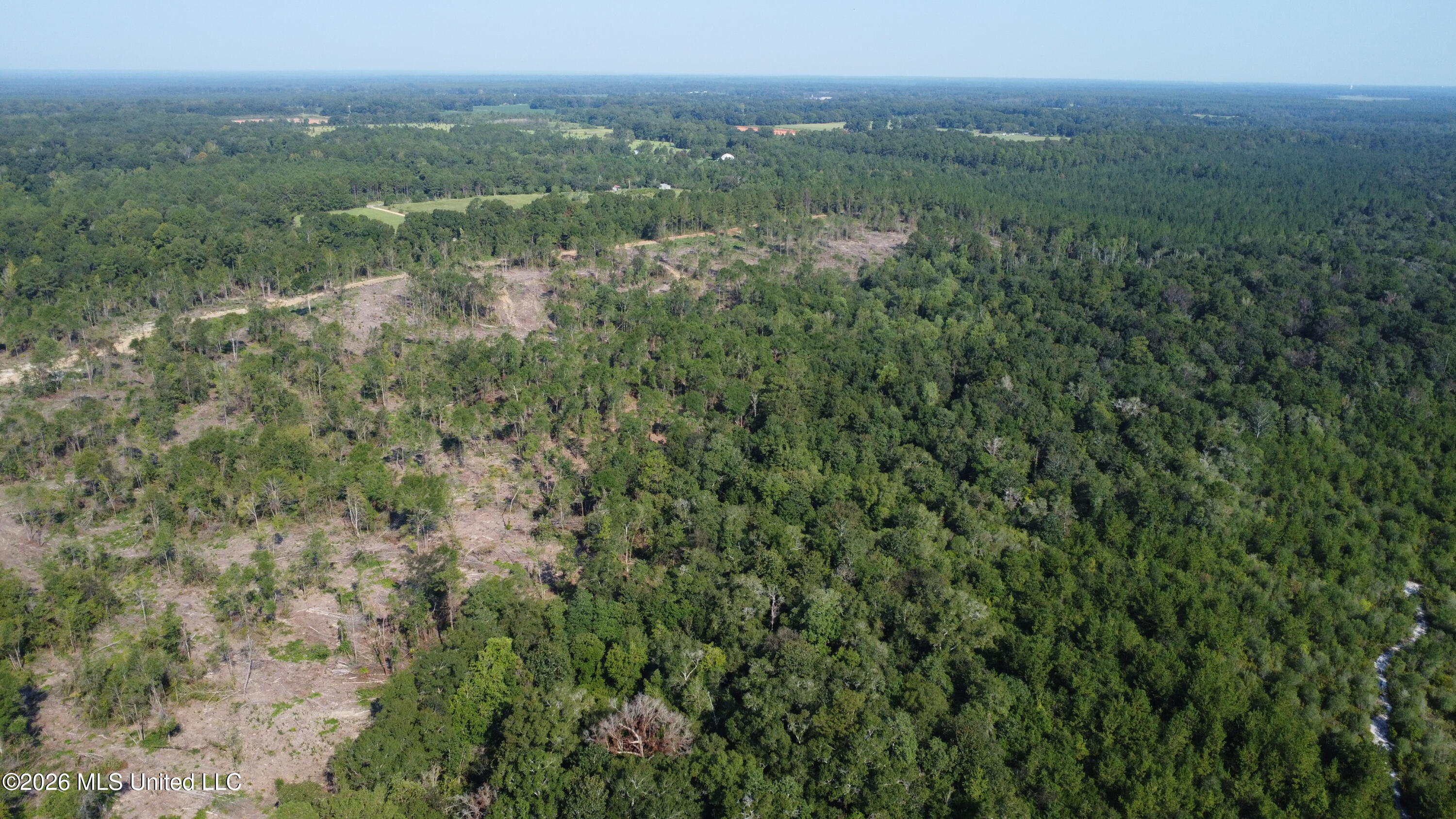 156.3 Acres Beesley Road Property Photo 25