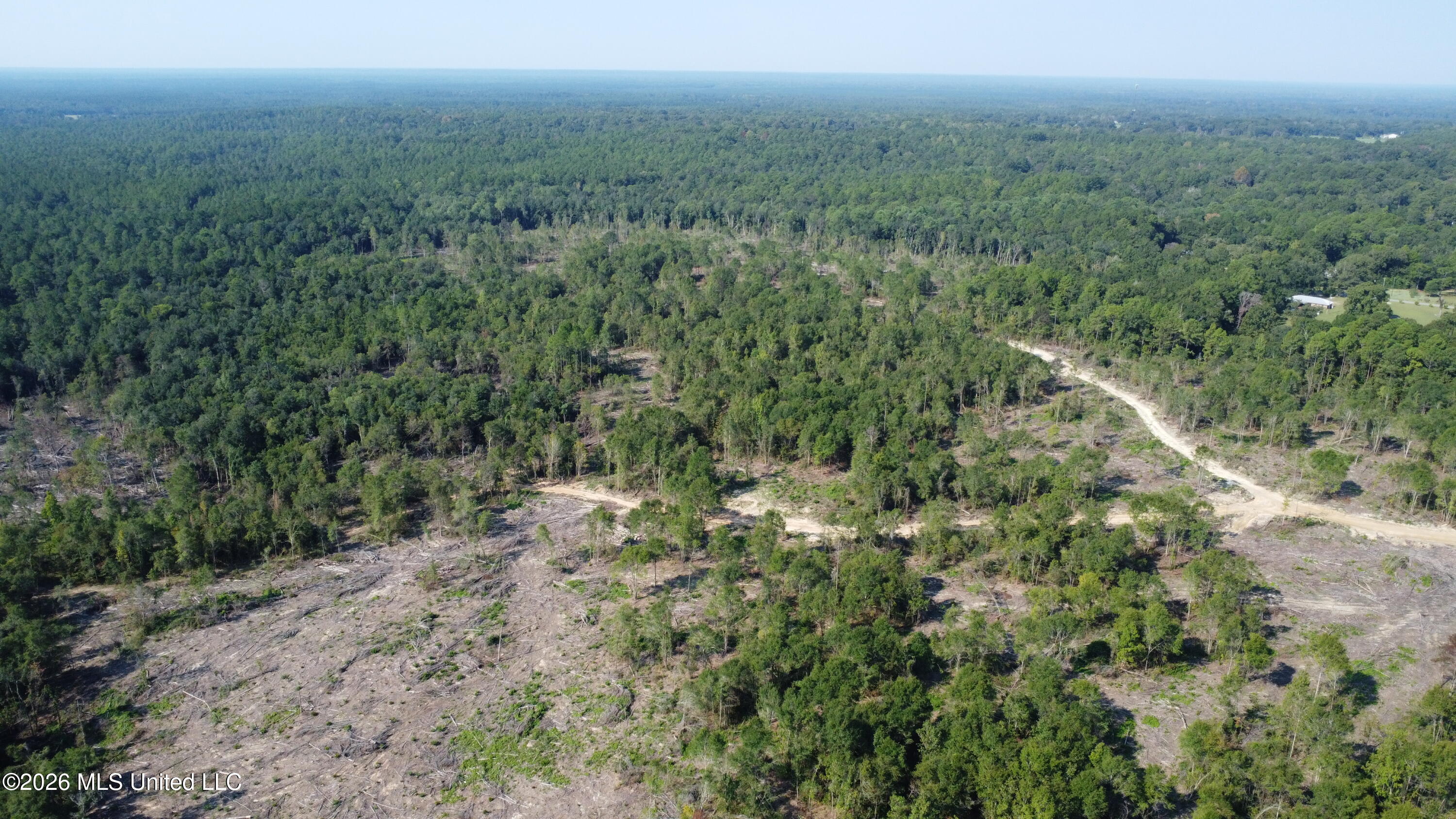 156.3 Acres Beesley Road Property Photo 27