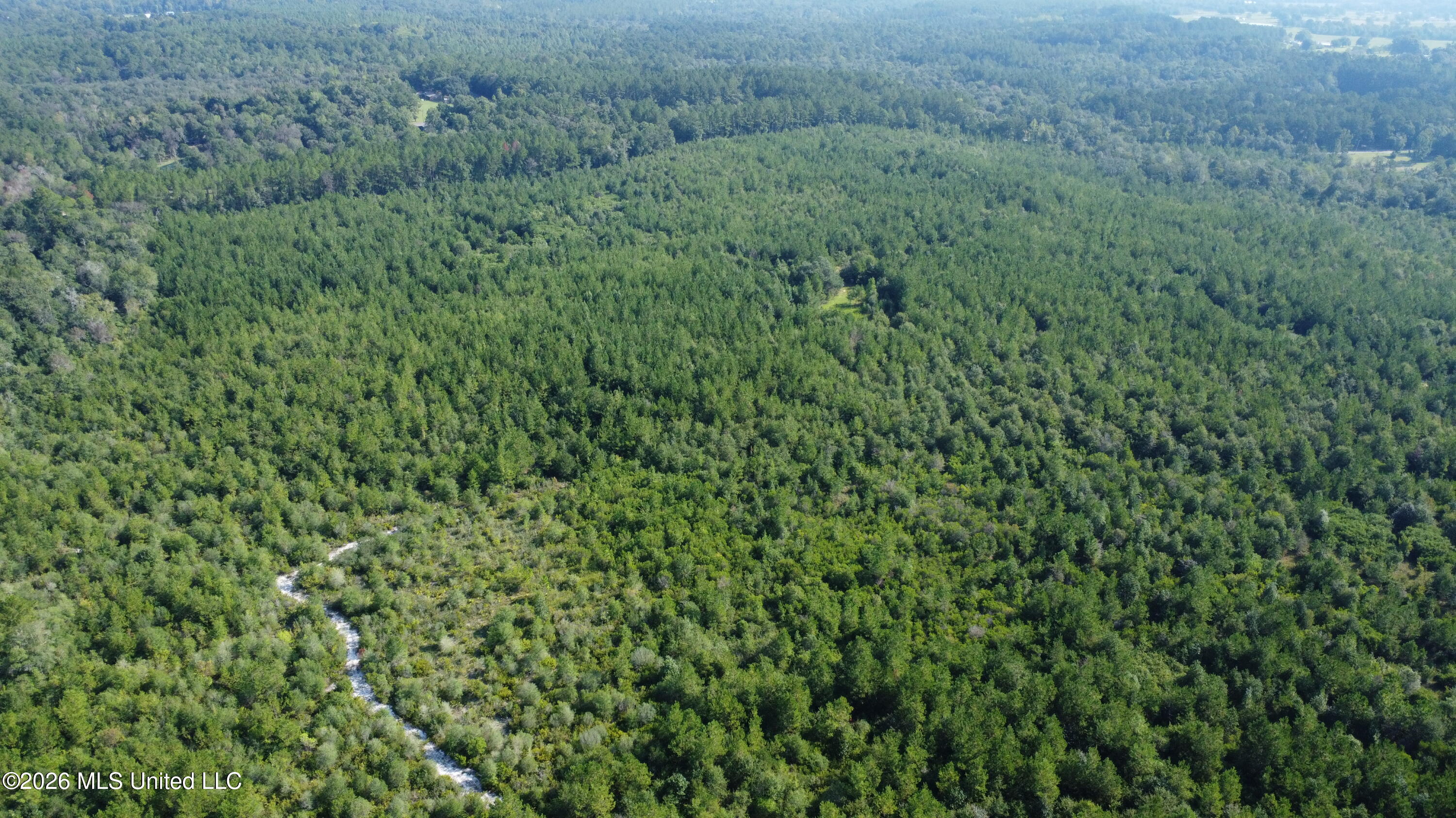 156.3 Acres Beesley Road Property Photo 28