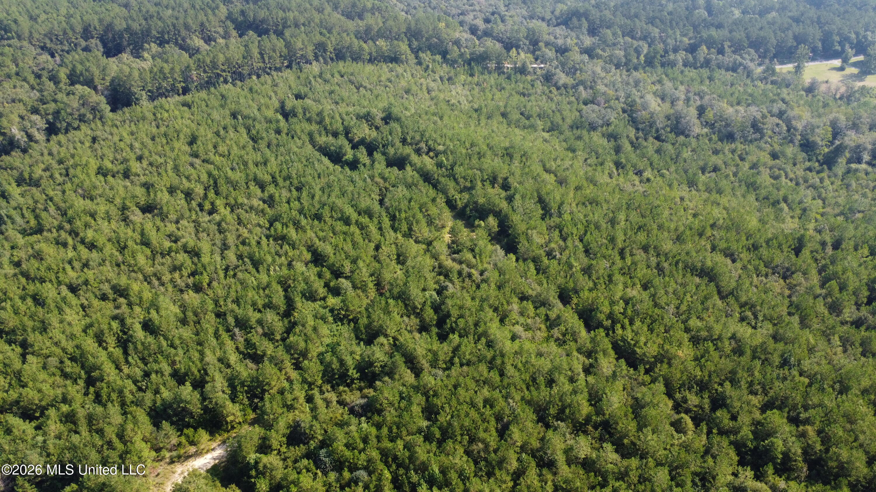 156.3 Acres Beesley Road Property Photo 29