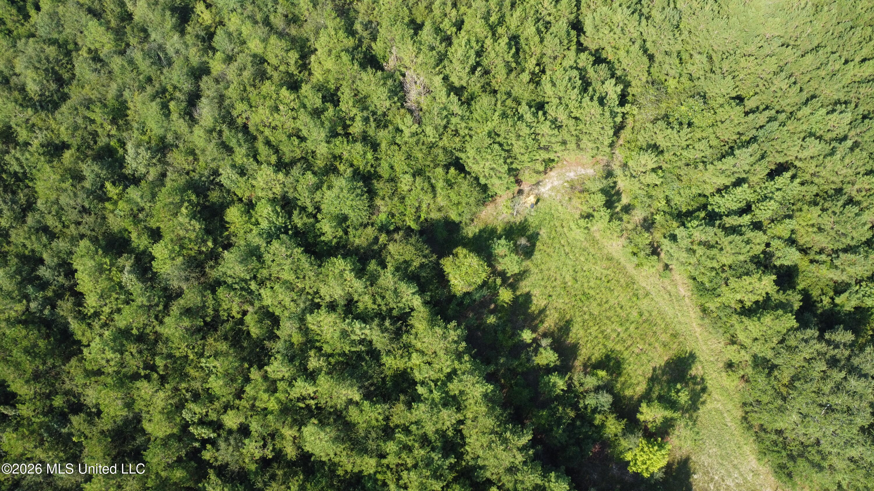 156.3 Acres Beesley Road Property Photo 31