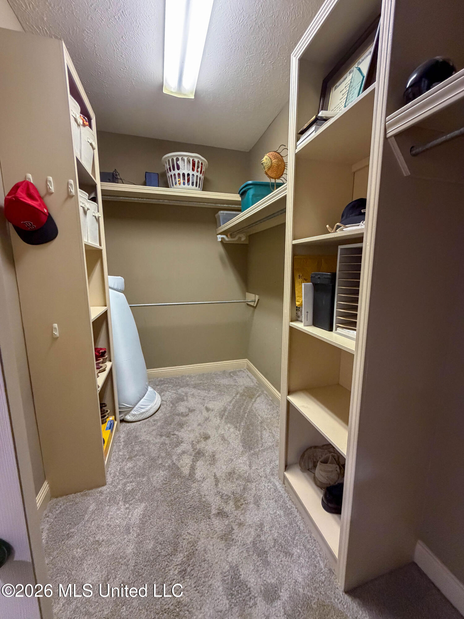 137 Vineyard Boulevard Property Photo 24