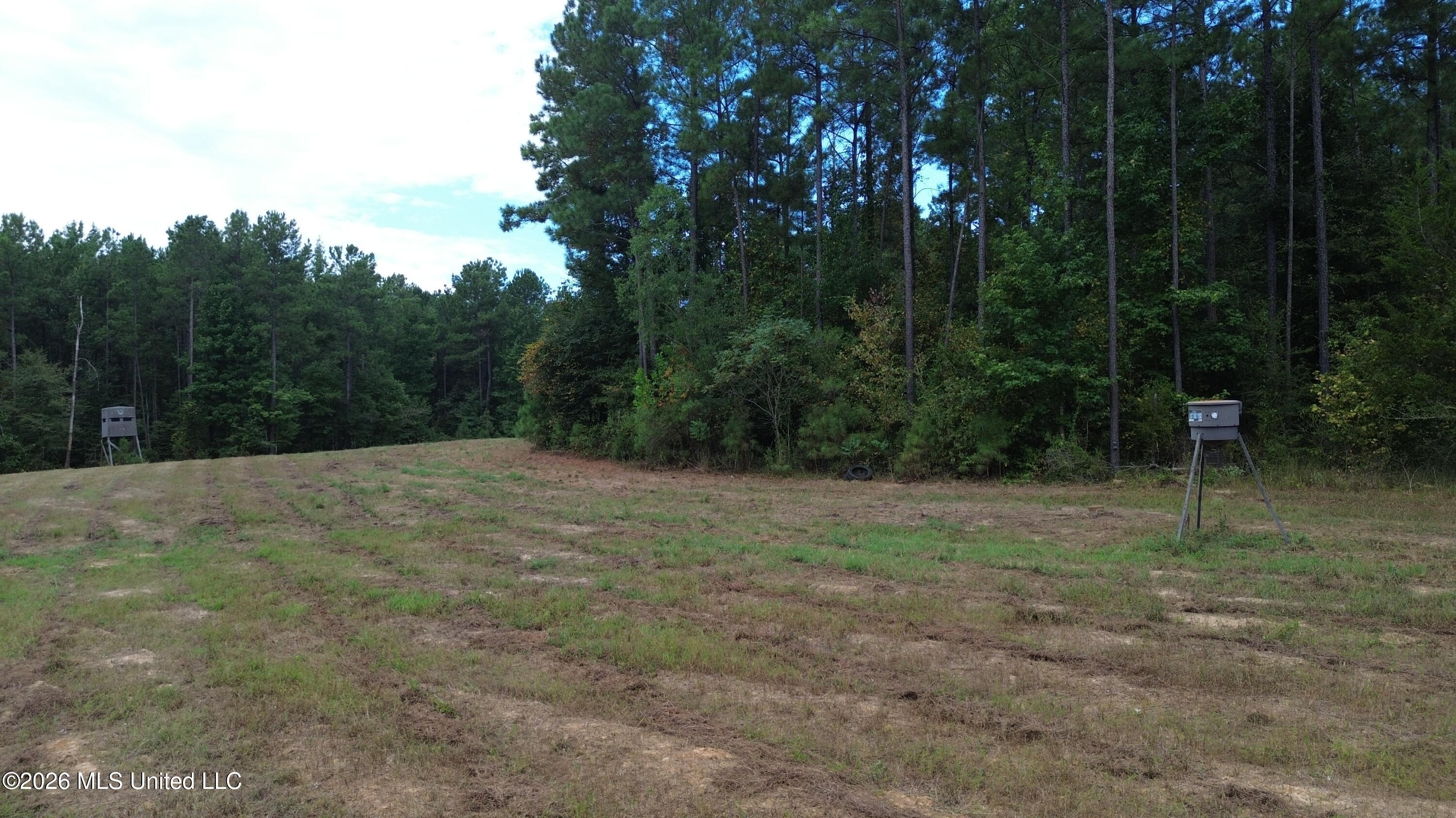 11330 Mississippi 429 Property Photo 9