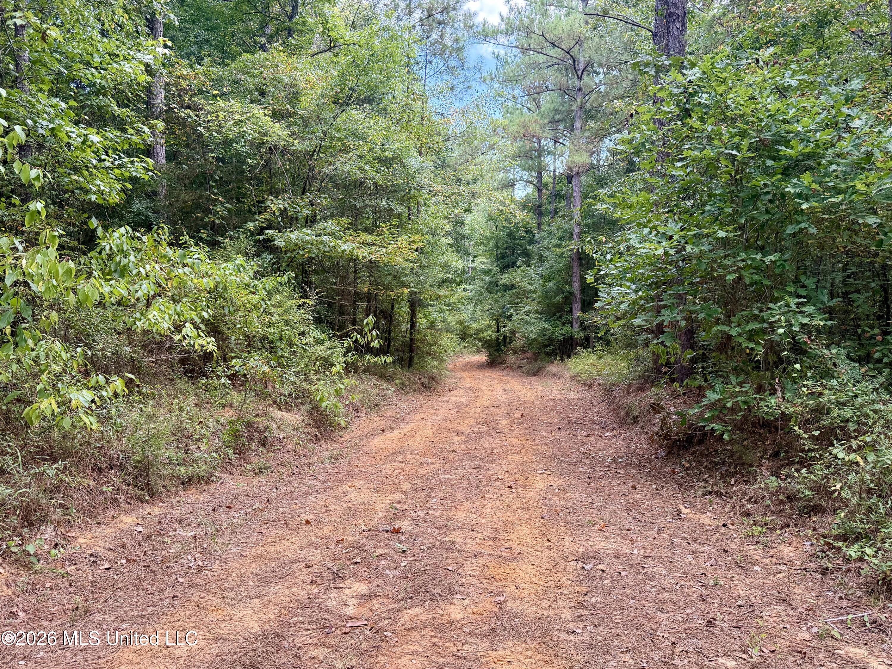 11330 Mississippi 429 Property Photo 64