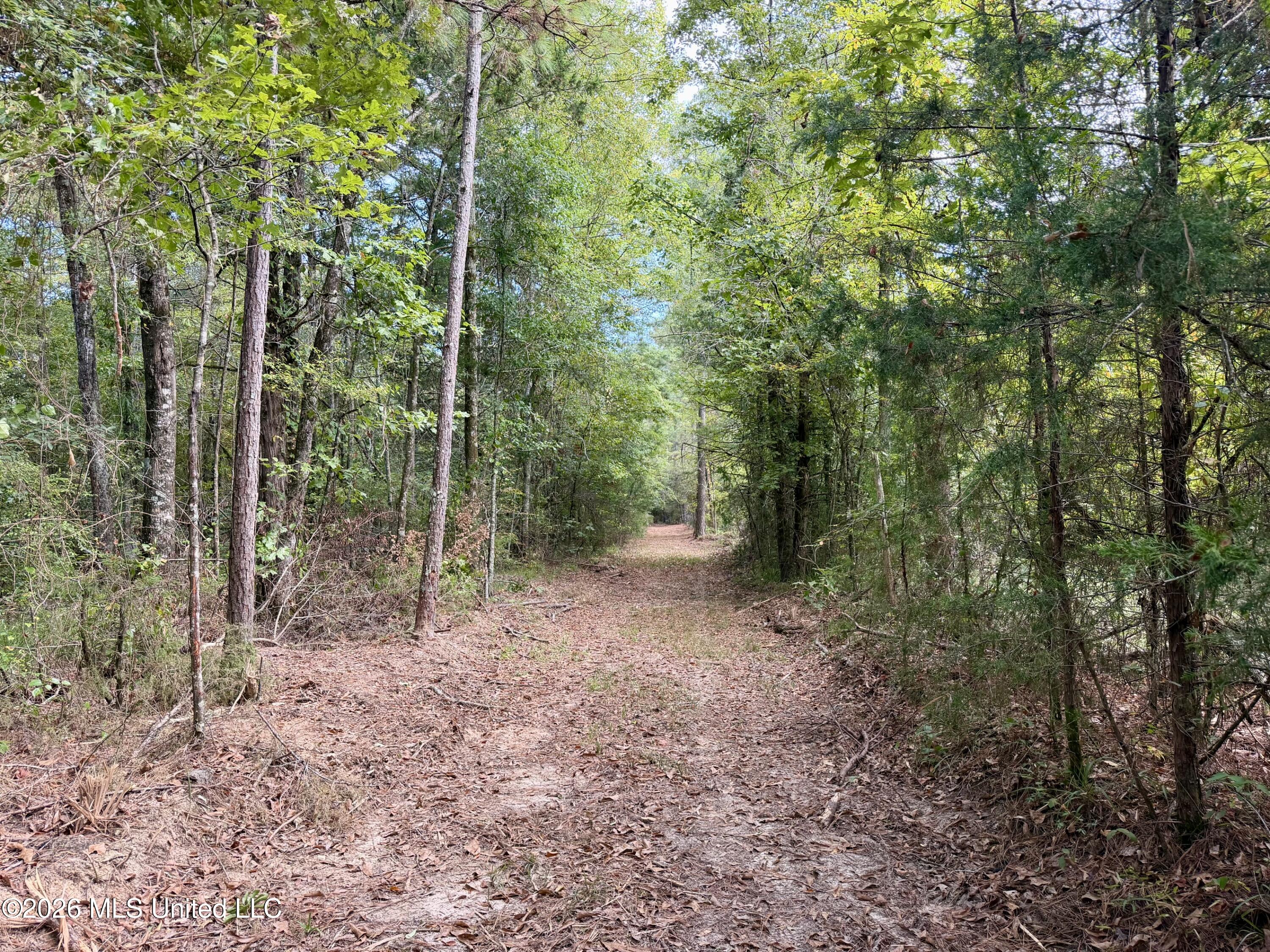 11330 Mississippi 429 Property Photo 72