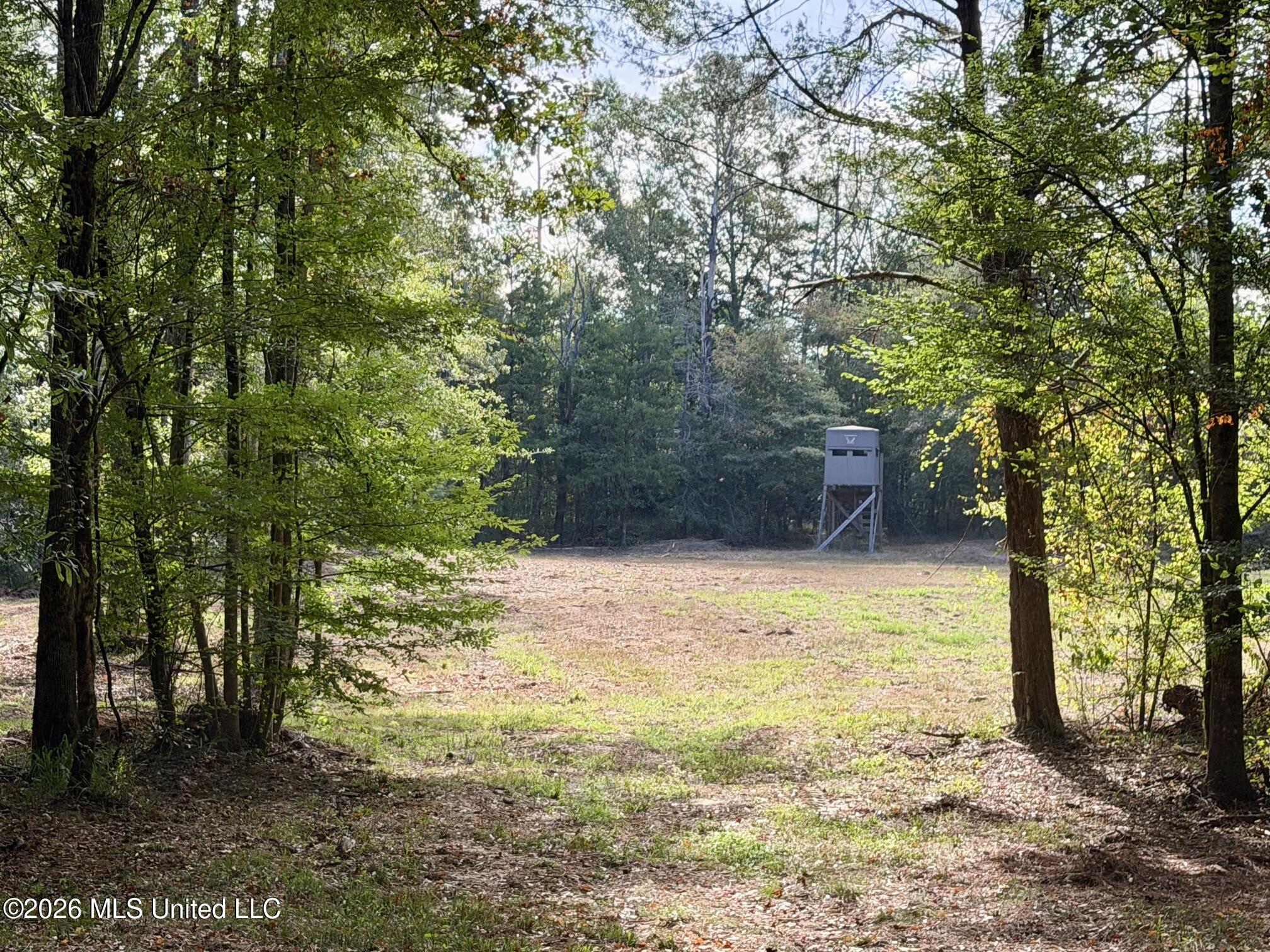 11330 Mississippi 429 Property Photo 83