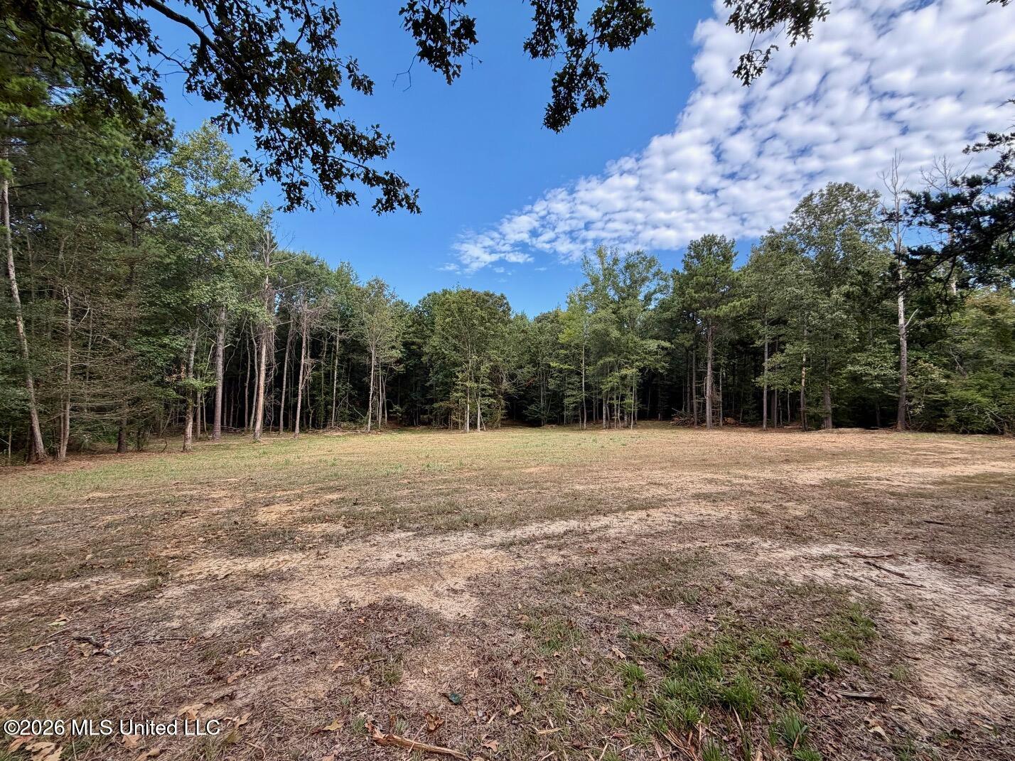 11330 Mississippi 429 Property Photo 117