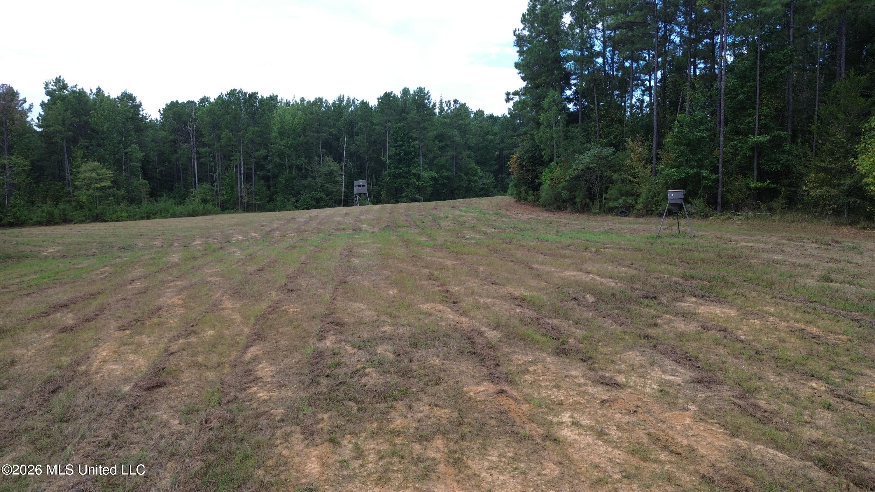 11330 Mississippi 429 Property Photo 130