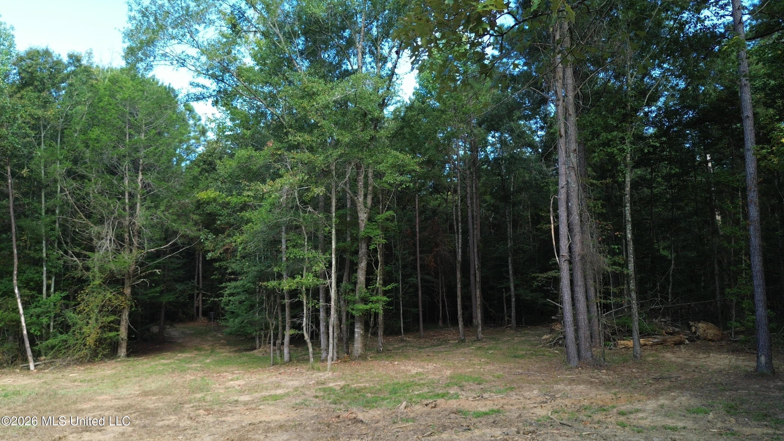 11330 Mississippi 429 Property Photo 135