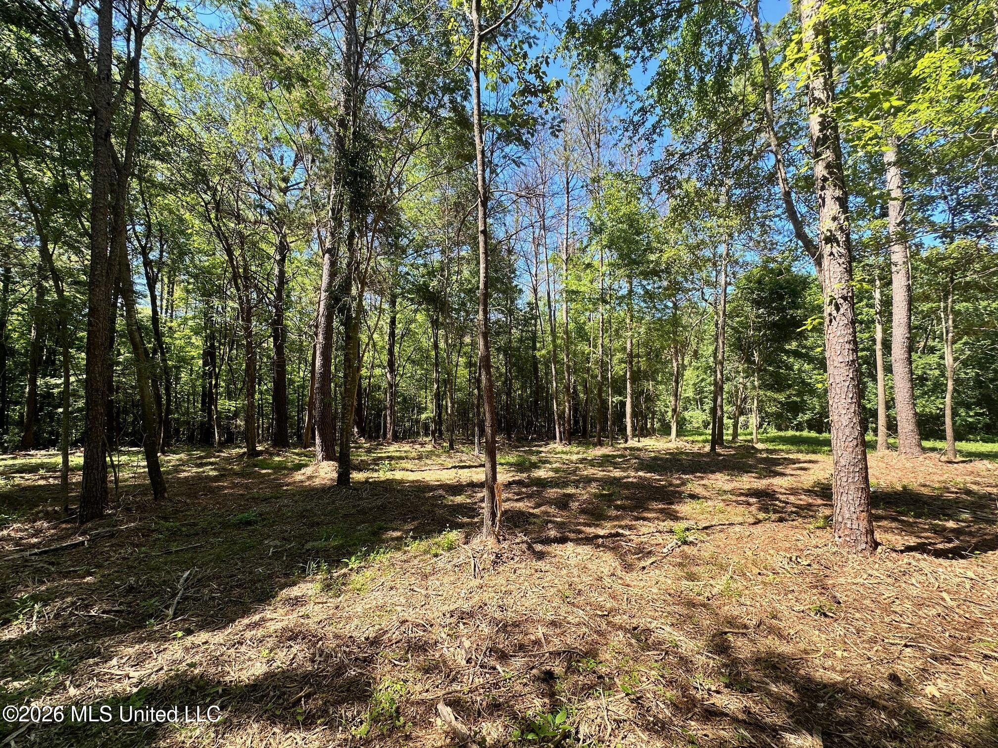 11330 Mississippi 429 Property Photo 147