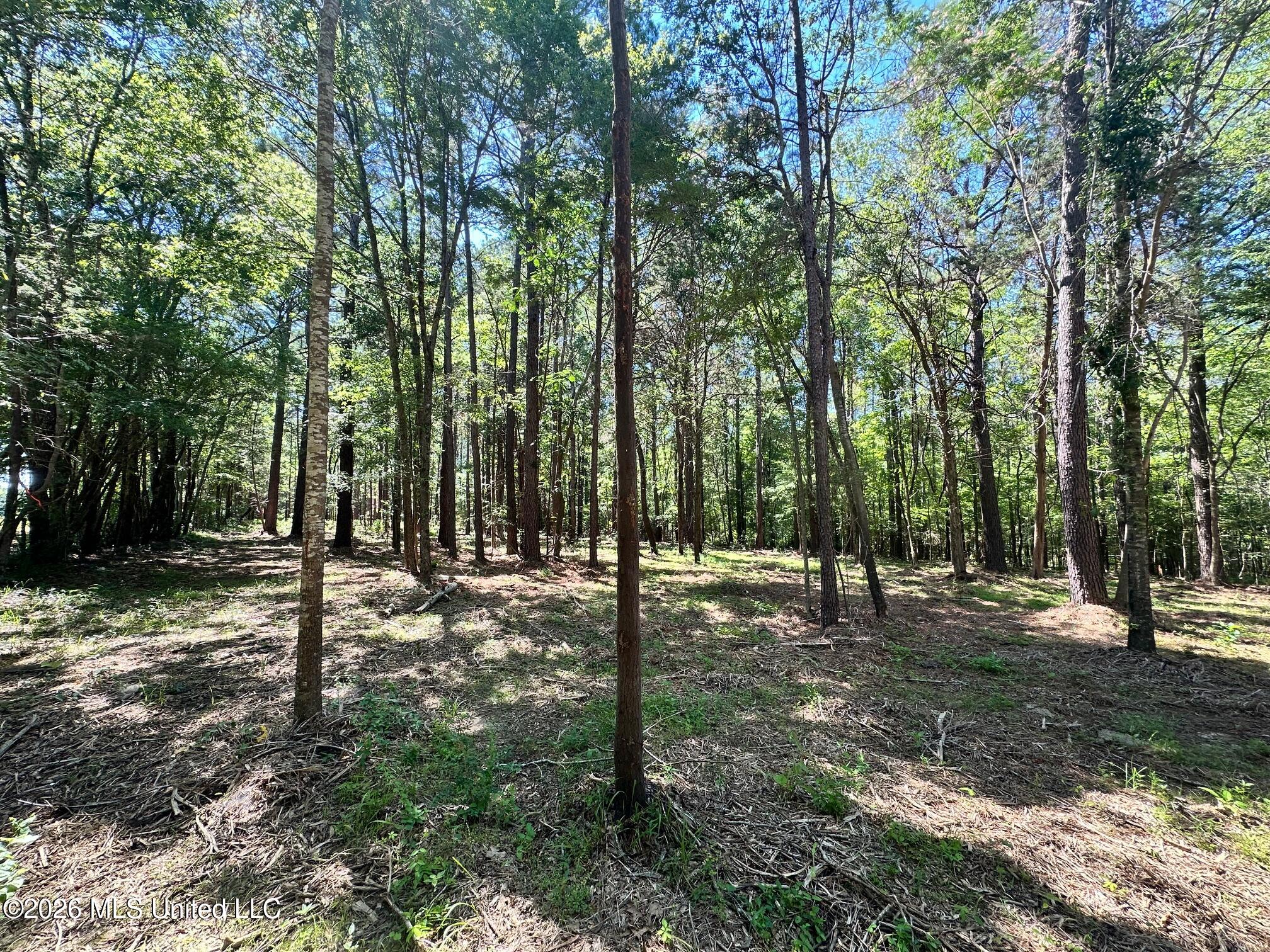 11330 Mississippi 429 Property Photo 148