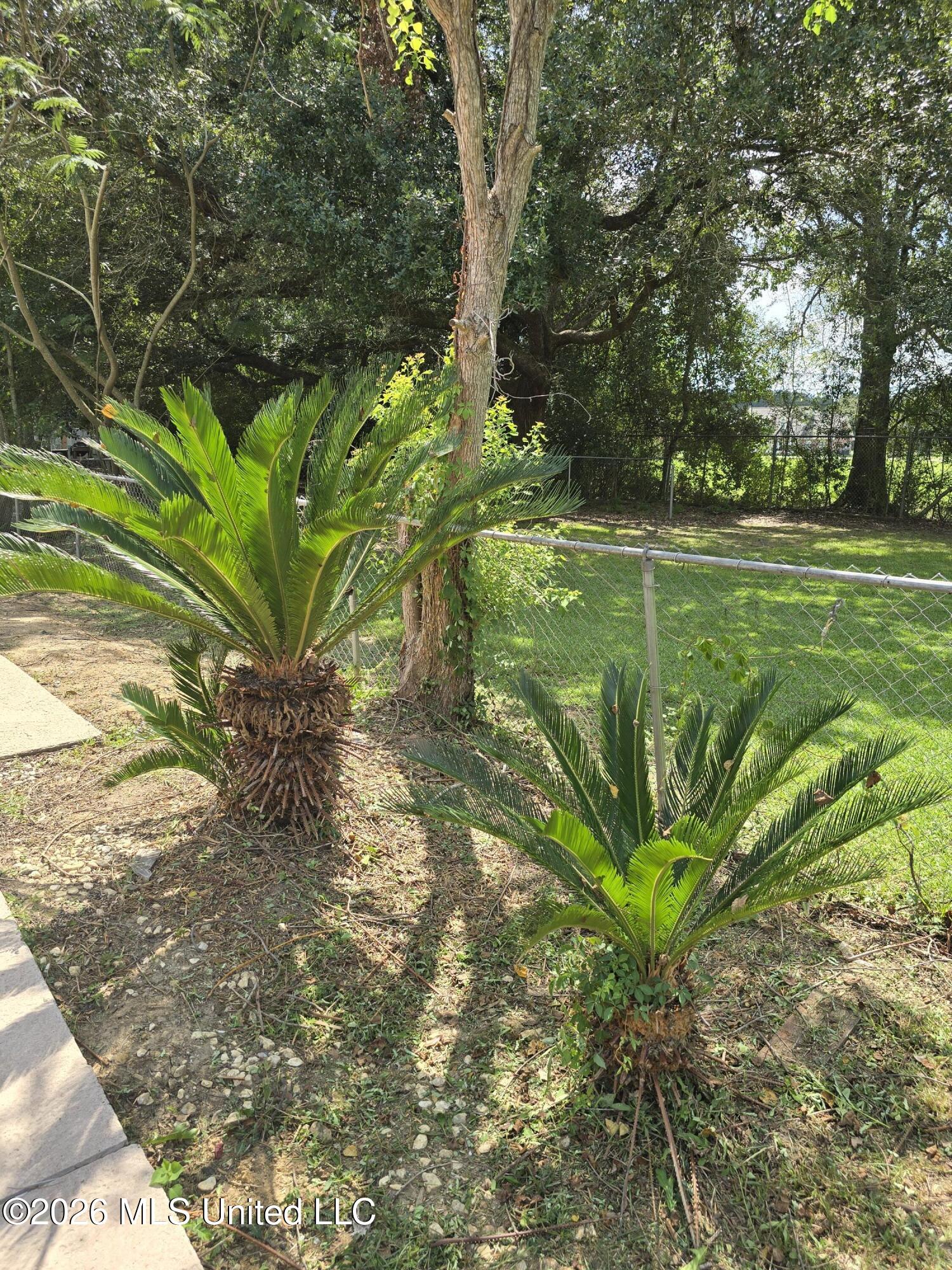 1413 Hide A Way Lane Property Photo 104
