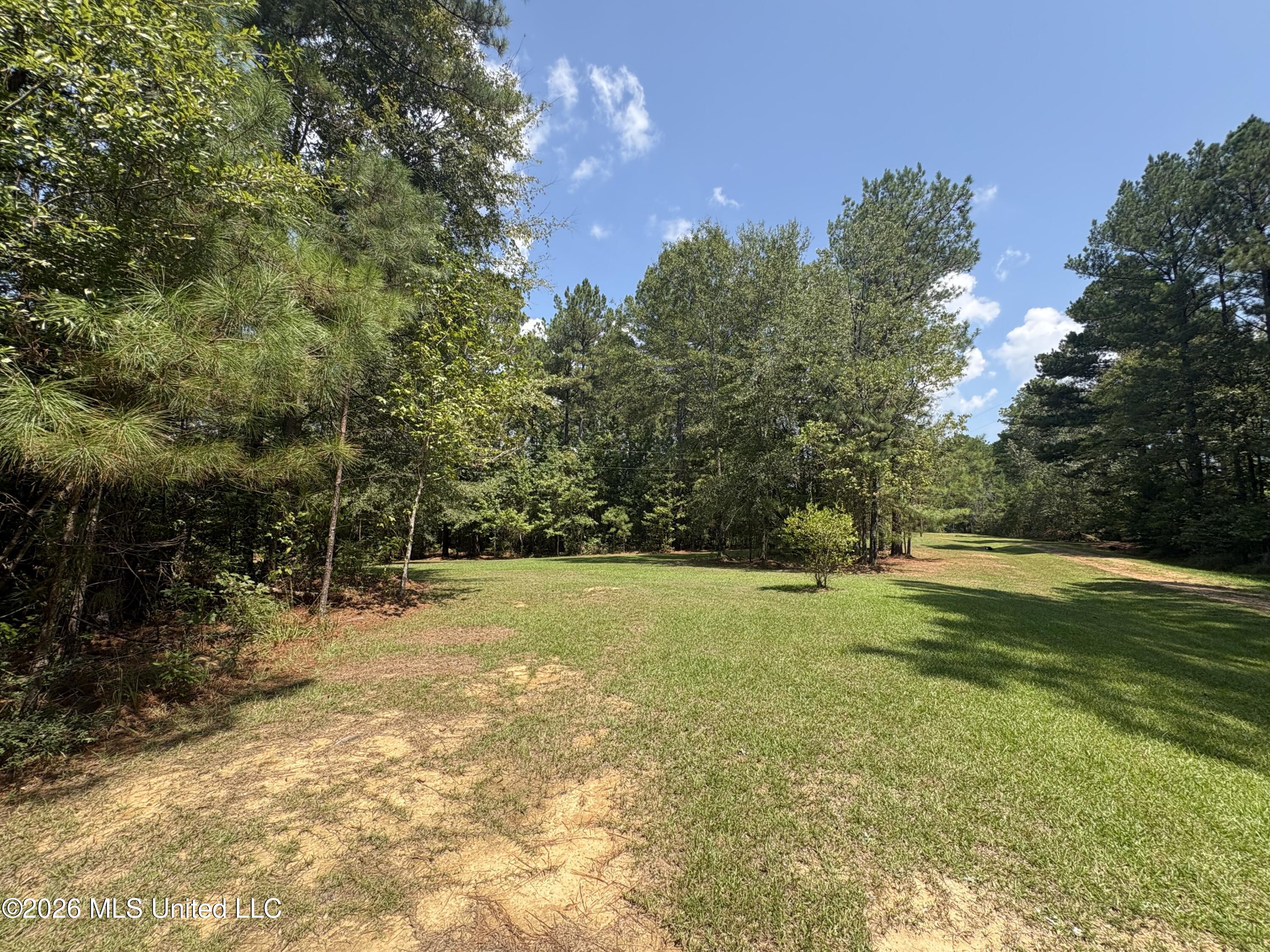 70 Whitetail Road Property Photo 21