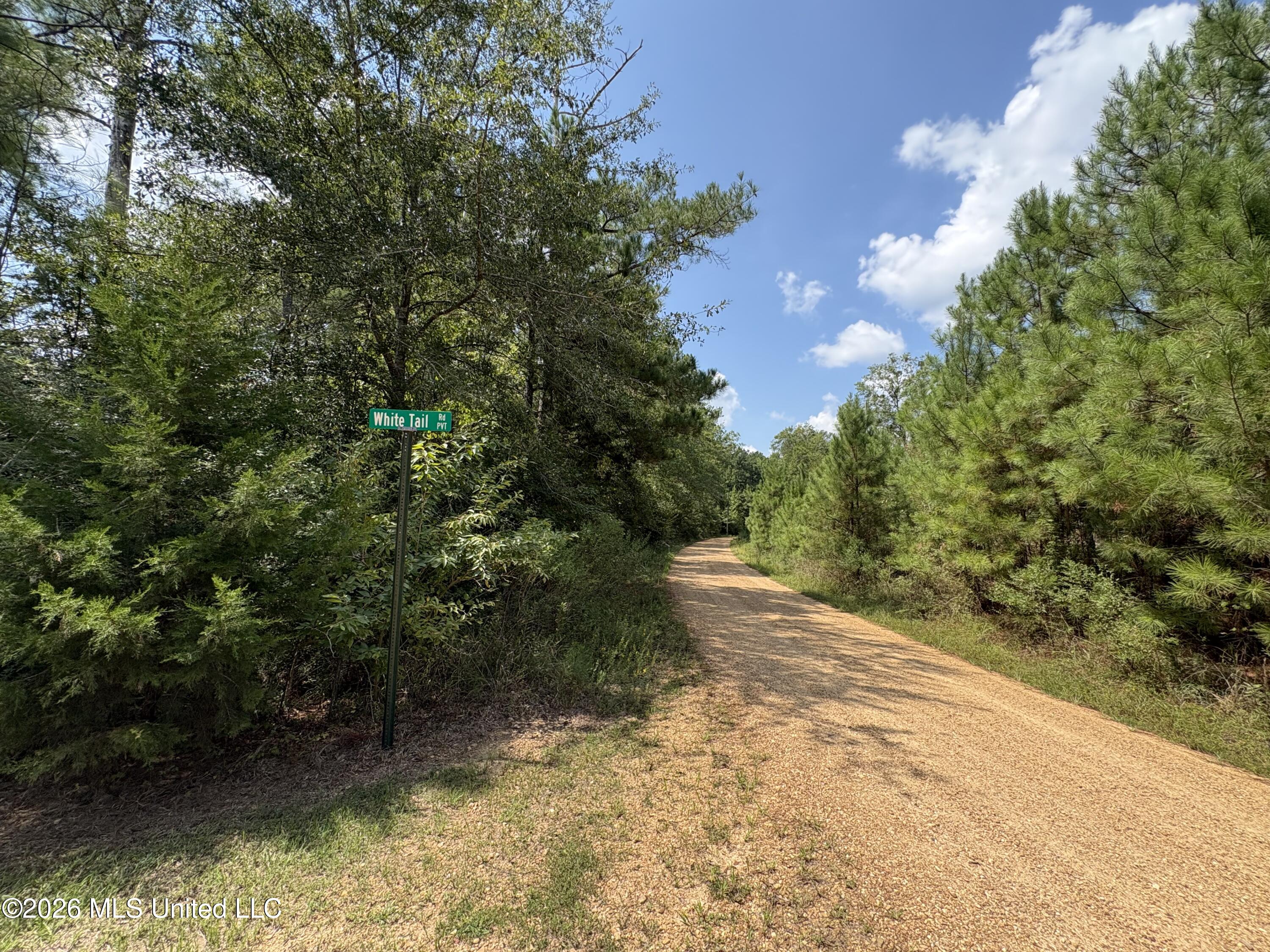 70 Whitetail Road Property Photo 23