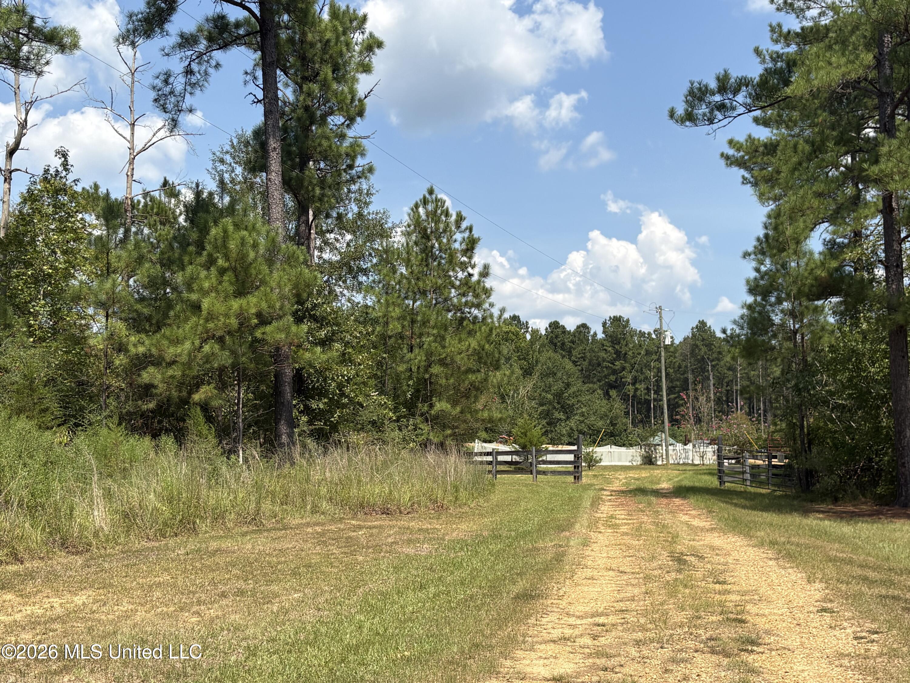 70 Whitetail Road Property Photo 25