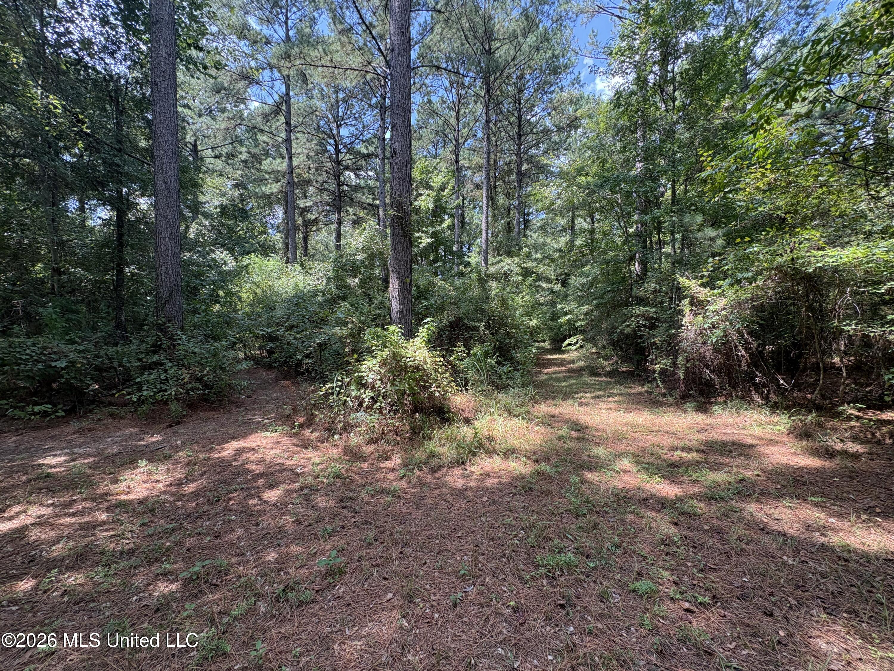 70 Whitetail Road Property Photo 26