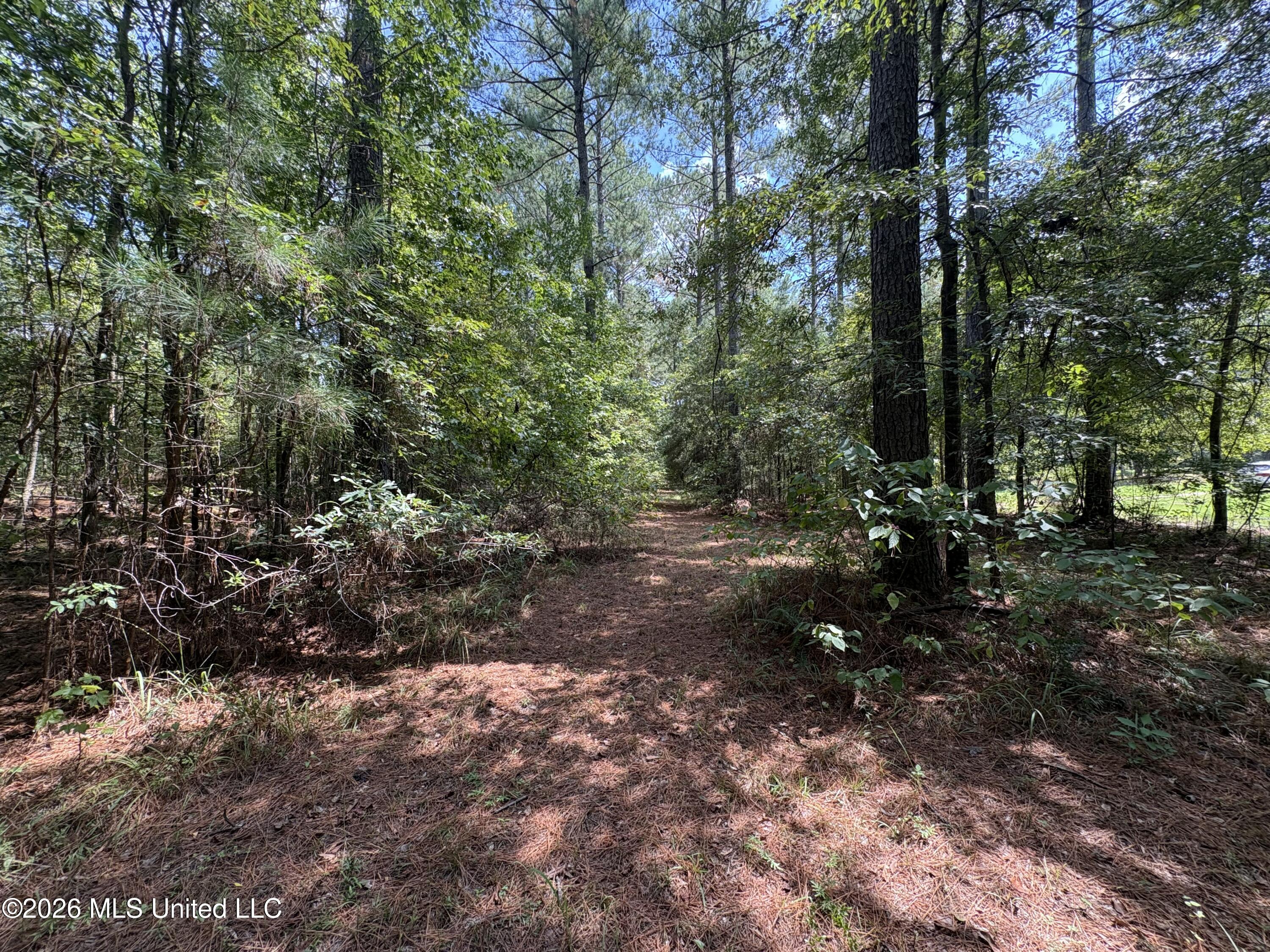 70 Whitetail Road Property Photo 27