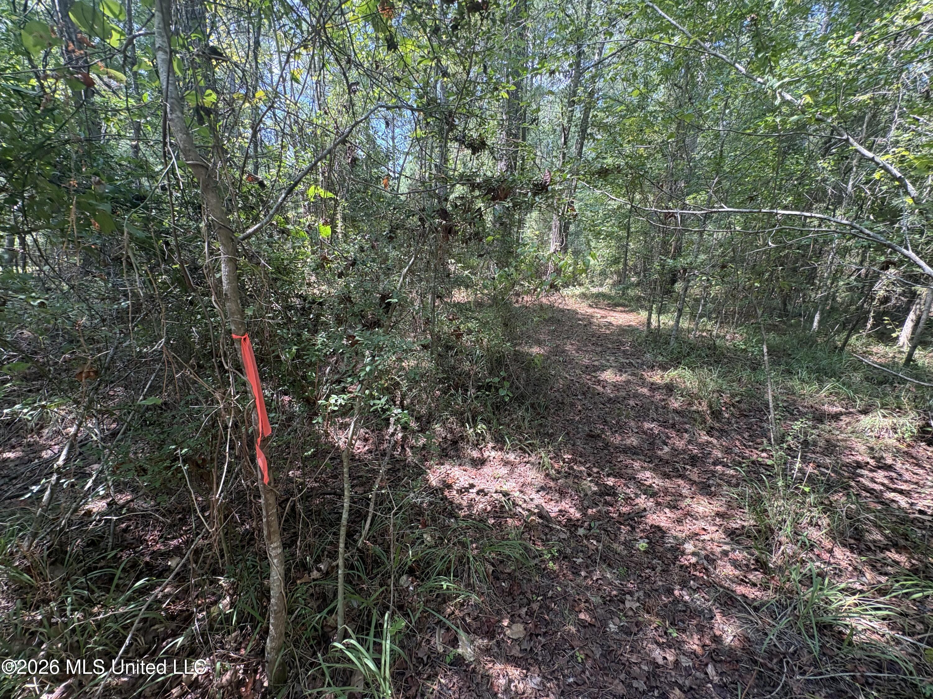 70 Whitetail Road Property Photo 29