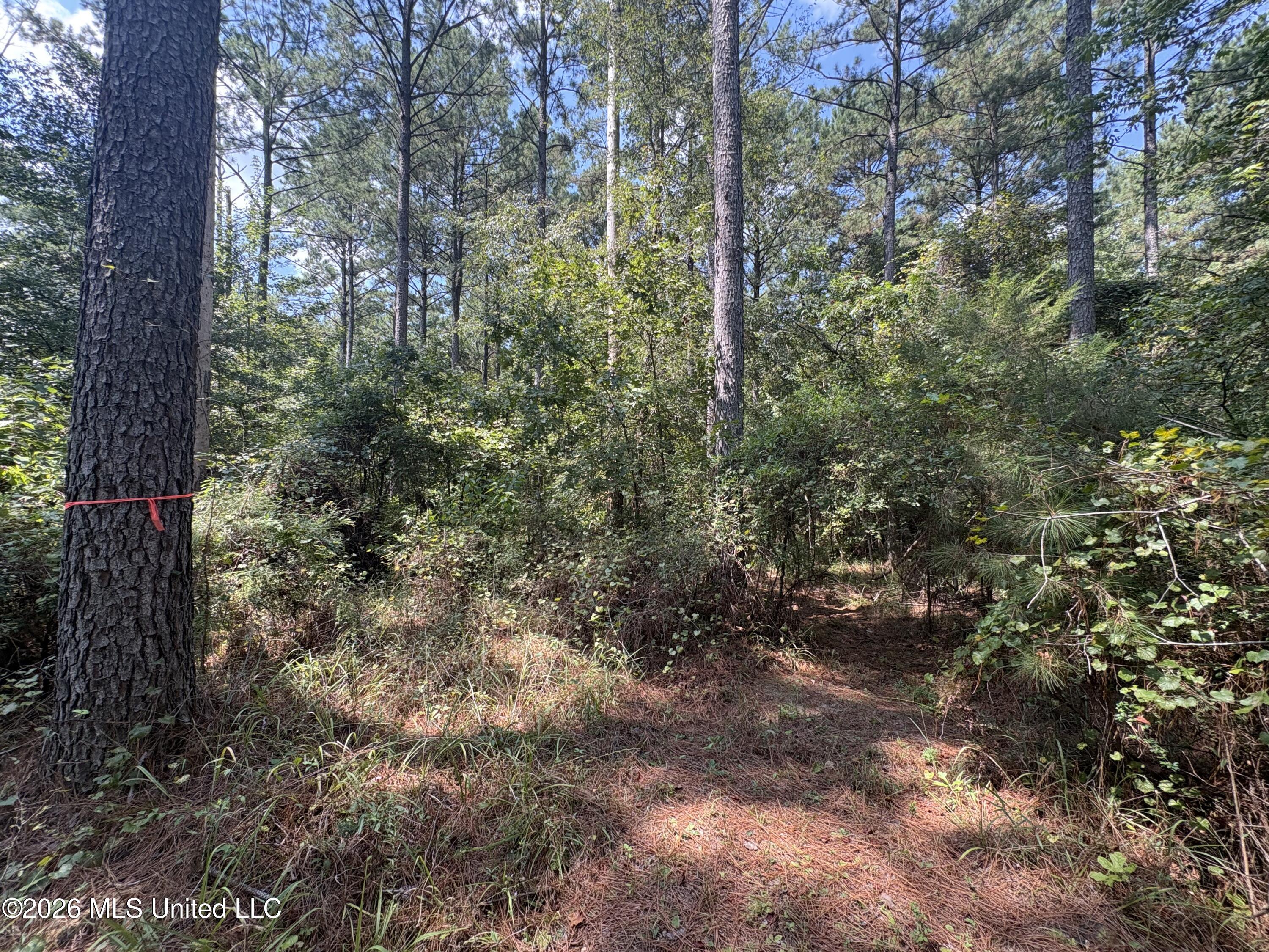 70 Whitetail Road Property Photo 30