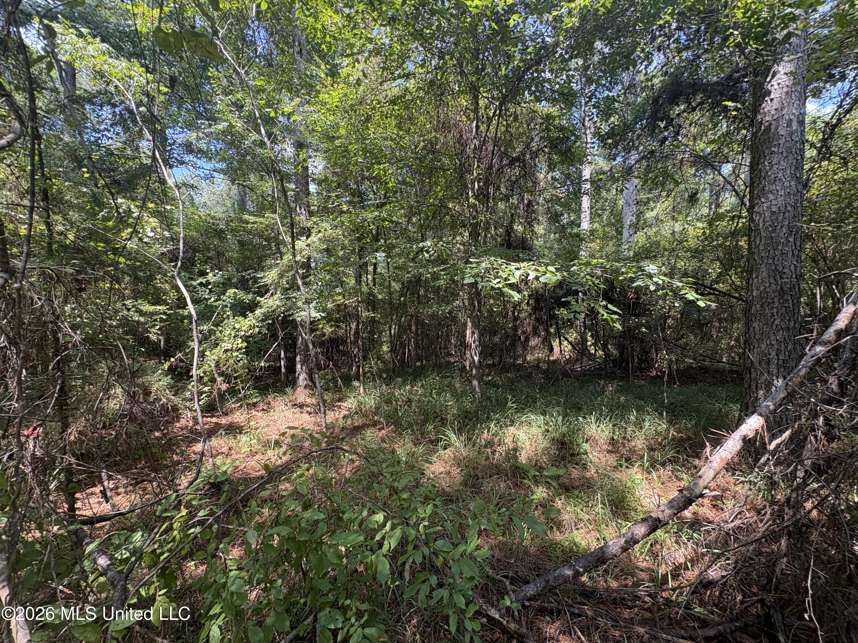 70 Whitetail Road Property Photo 31