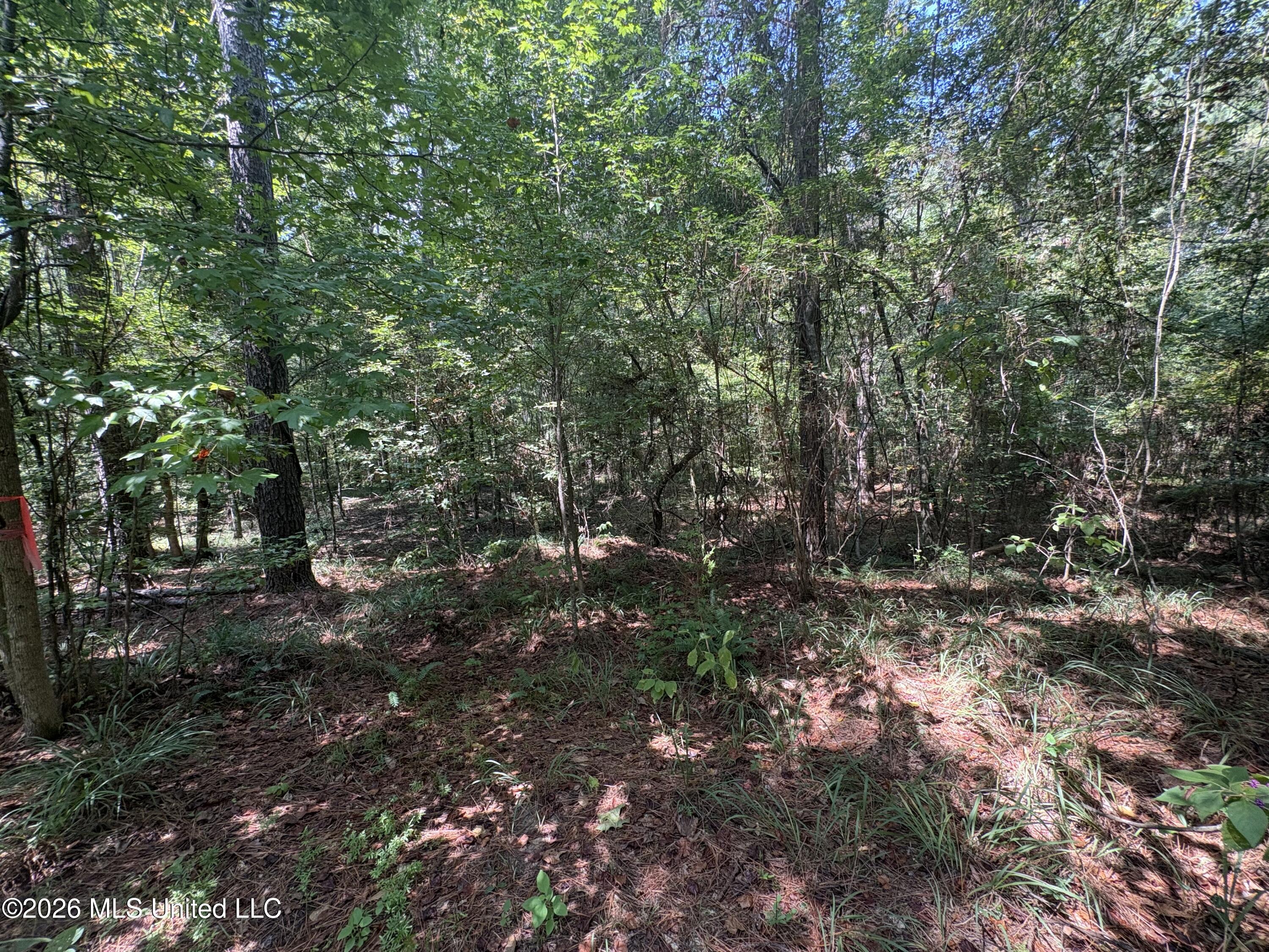 70 Whitetail Road Property Photo 32