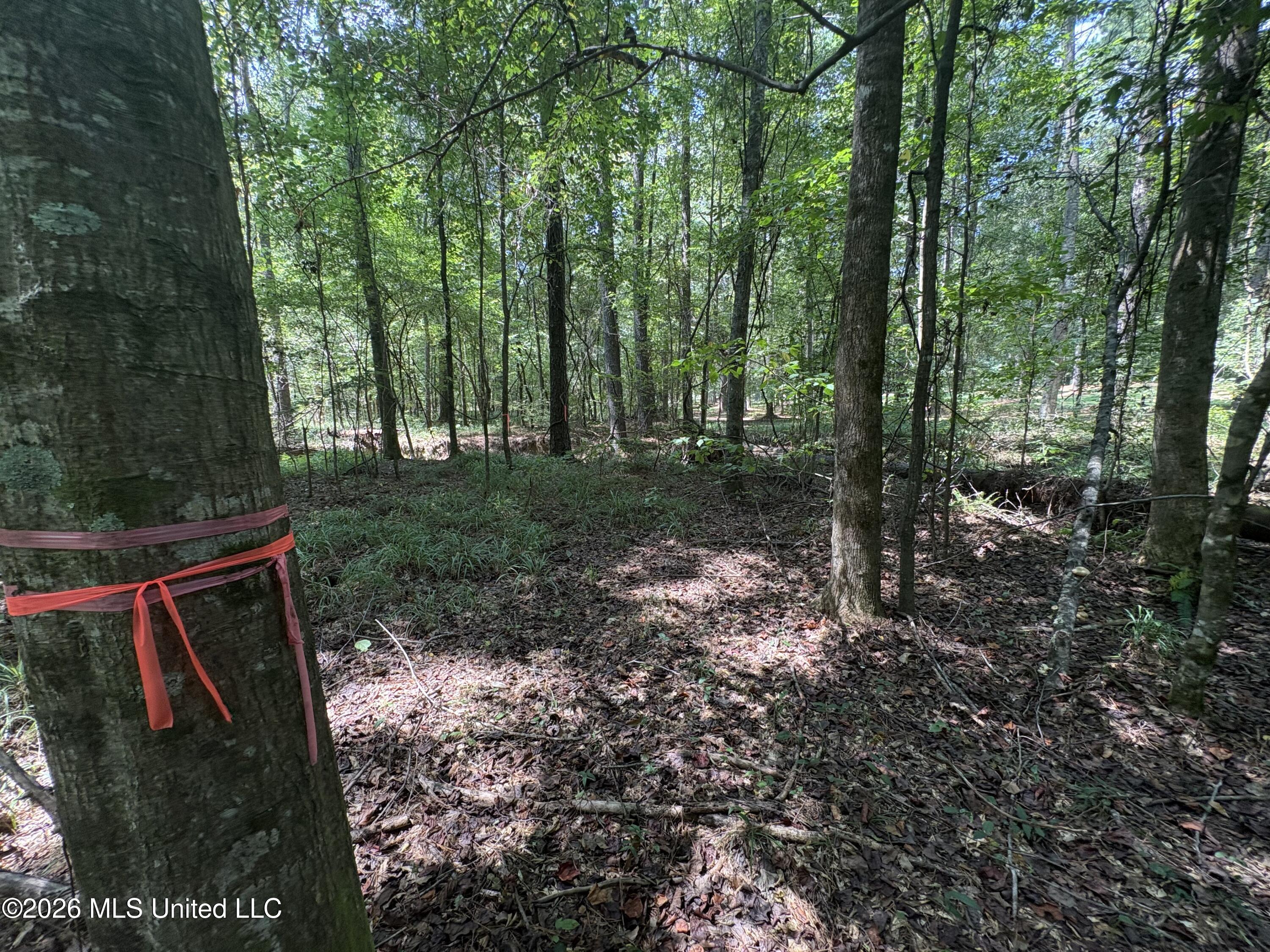 70 Whitetail Road Property Photo 33