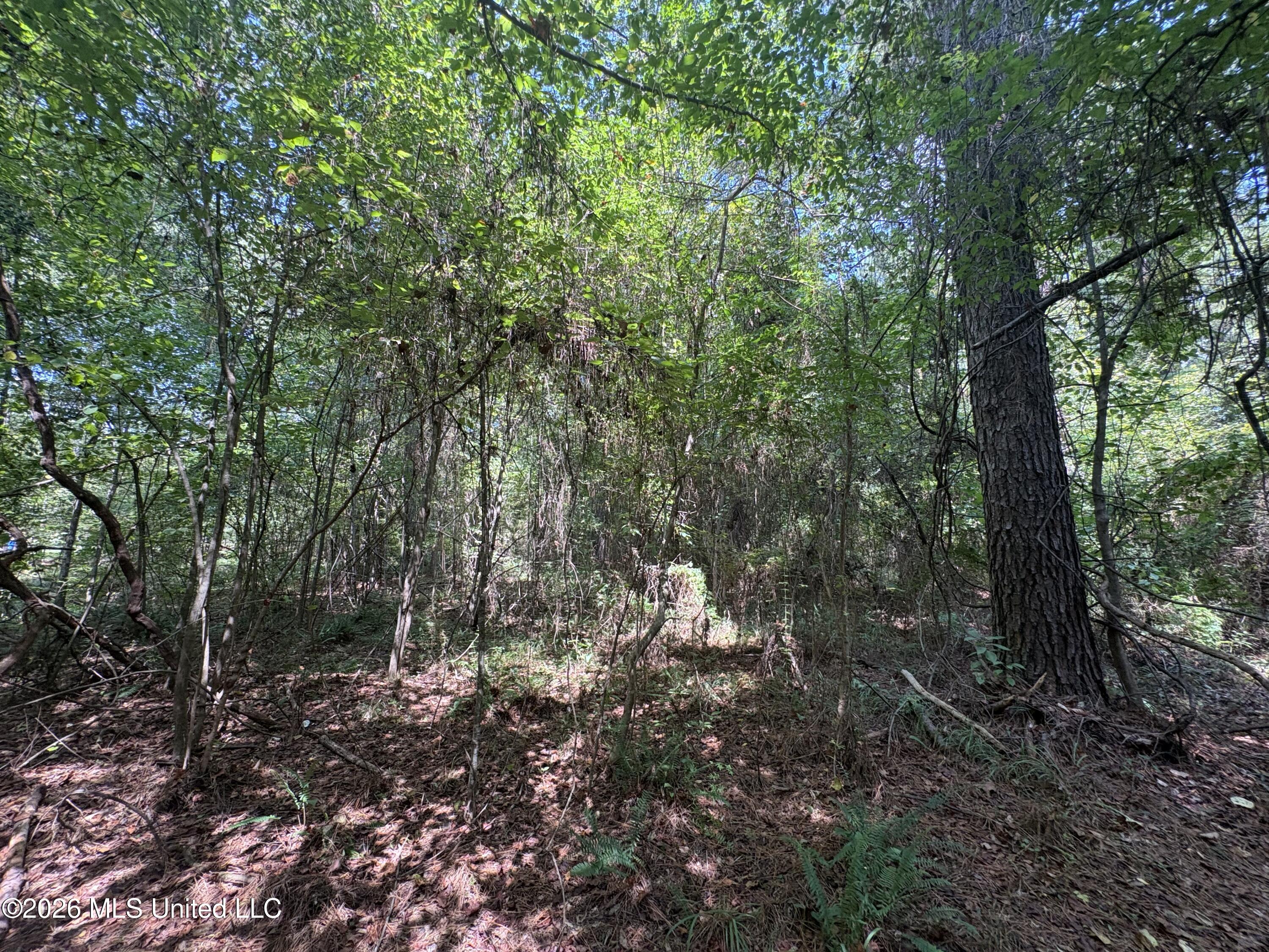 70 Whitetail Road Property Photo 34