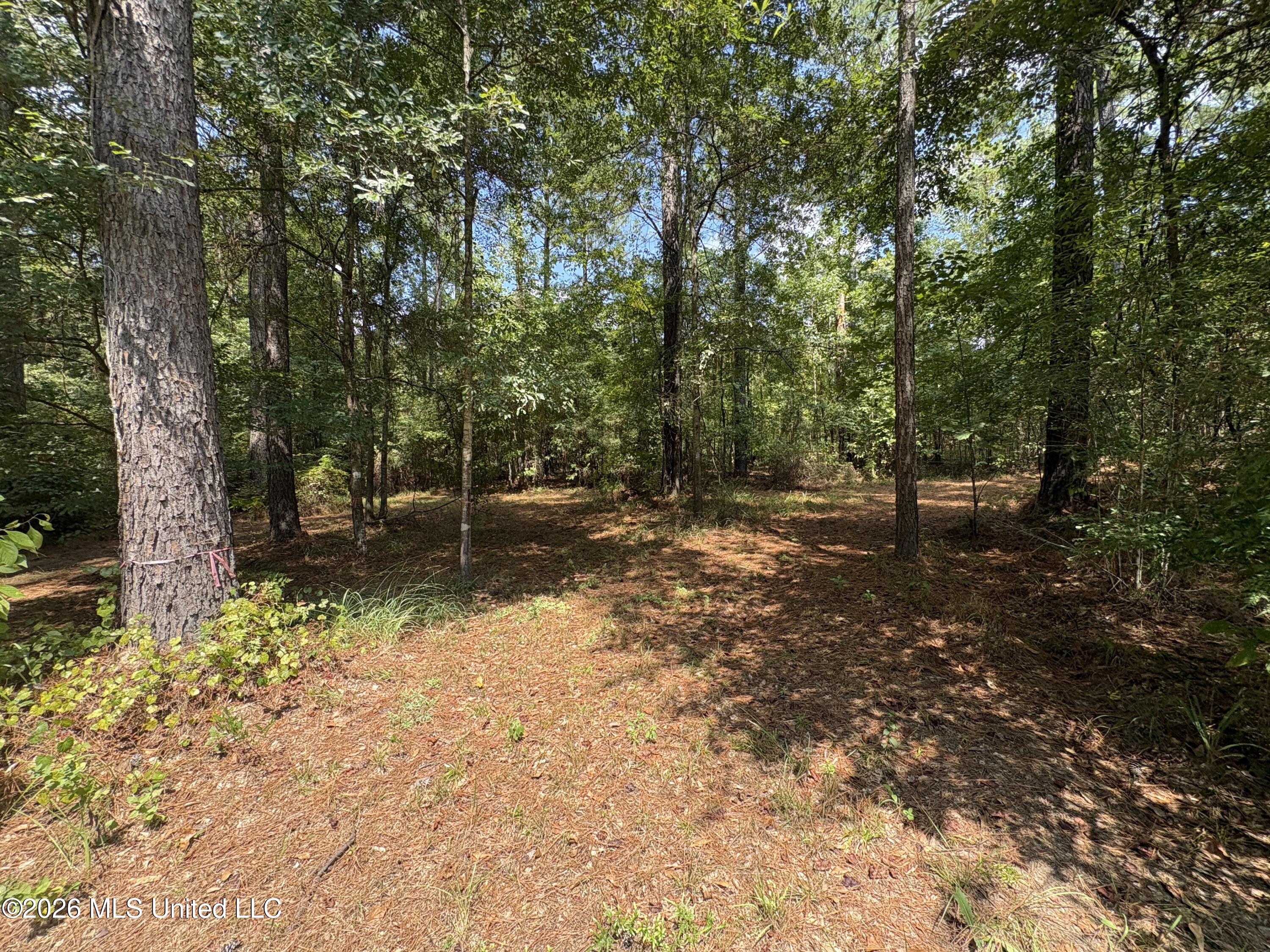 70 Whitetail Road Property Photo 35