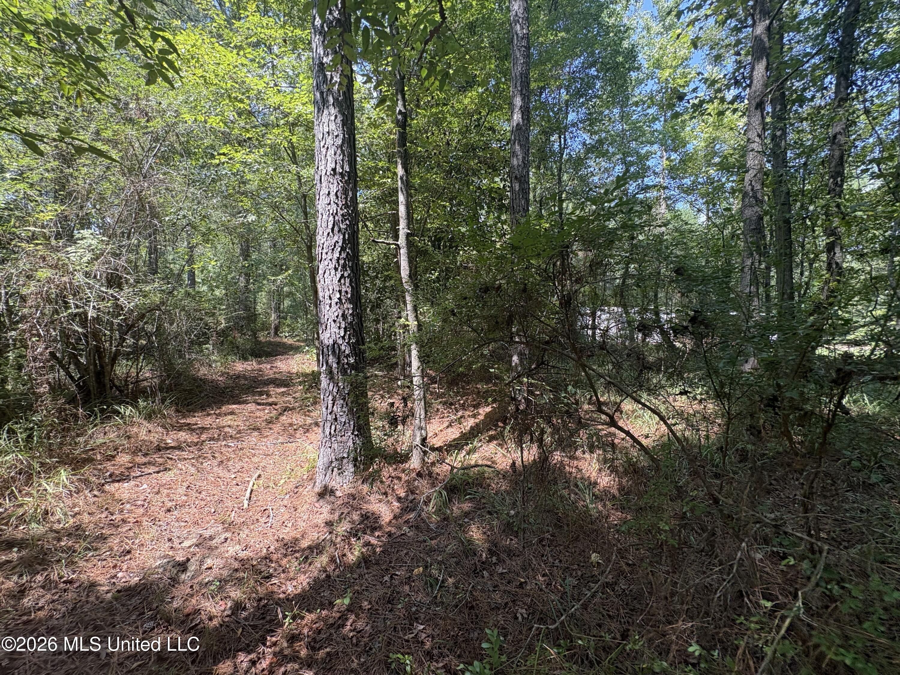 70 Whitetail Road Property Photo 36