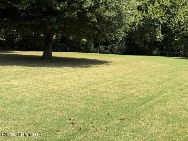 3670 Spring Lakes Boulevard Property Photo 13