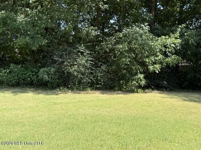 3670 Spring Lakes Boulevard Property Photo 14