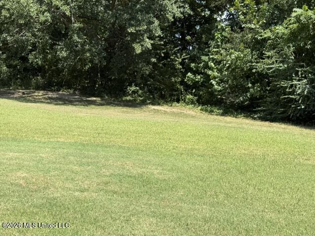 3670 Spring Lakes Boulevard Property Photo 16