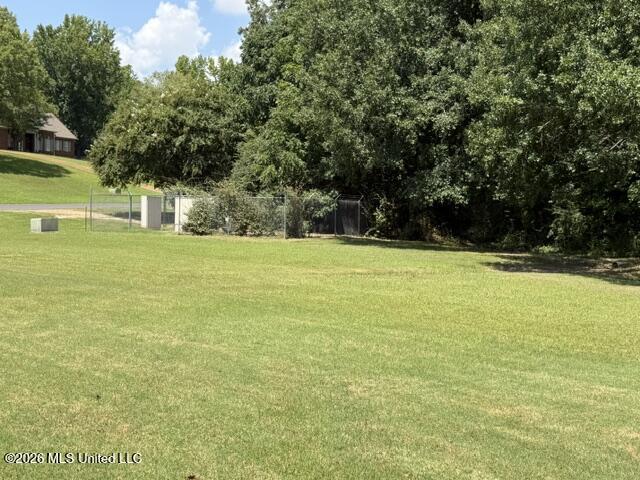 3670 Spring Lakes Boulevard Property Photo 17