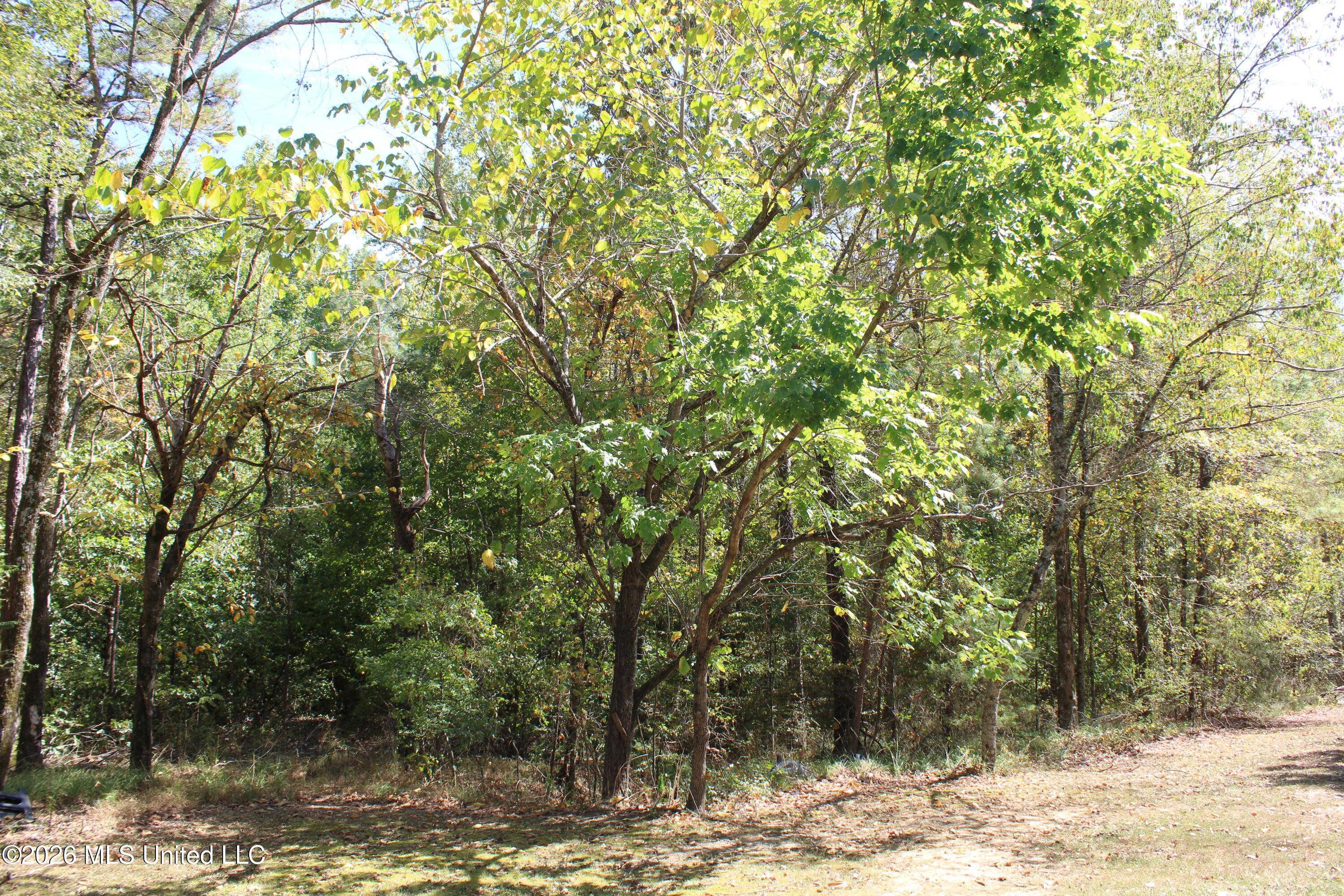 289 Saint Paul Road Property Photo 27
