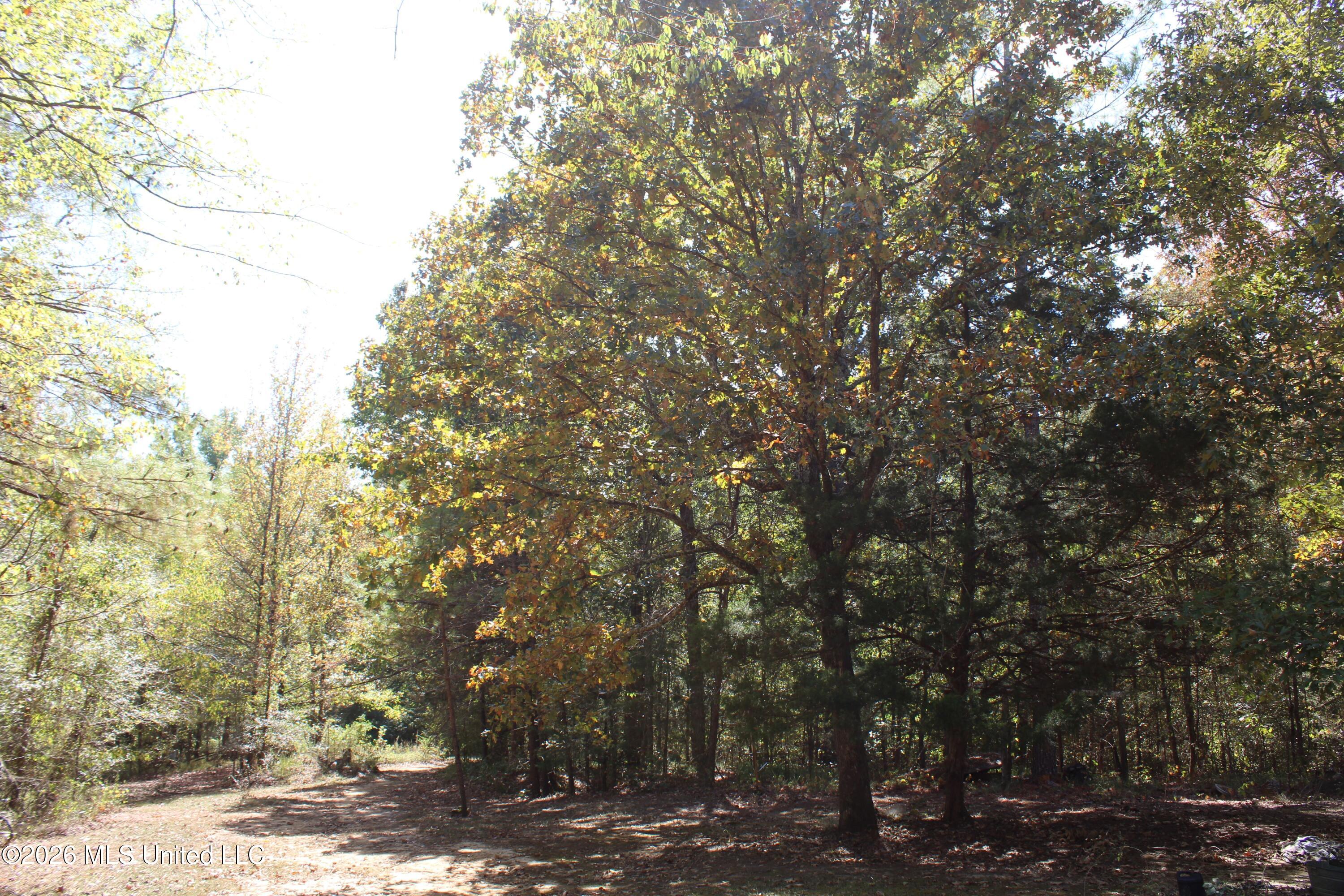 289 Saint Paul Road Property Photo 28