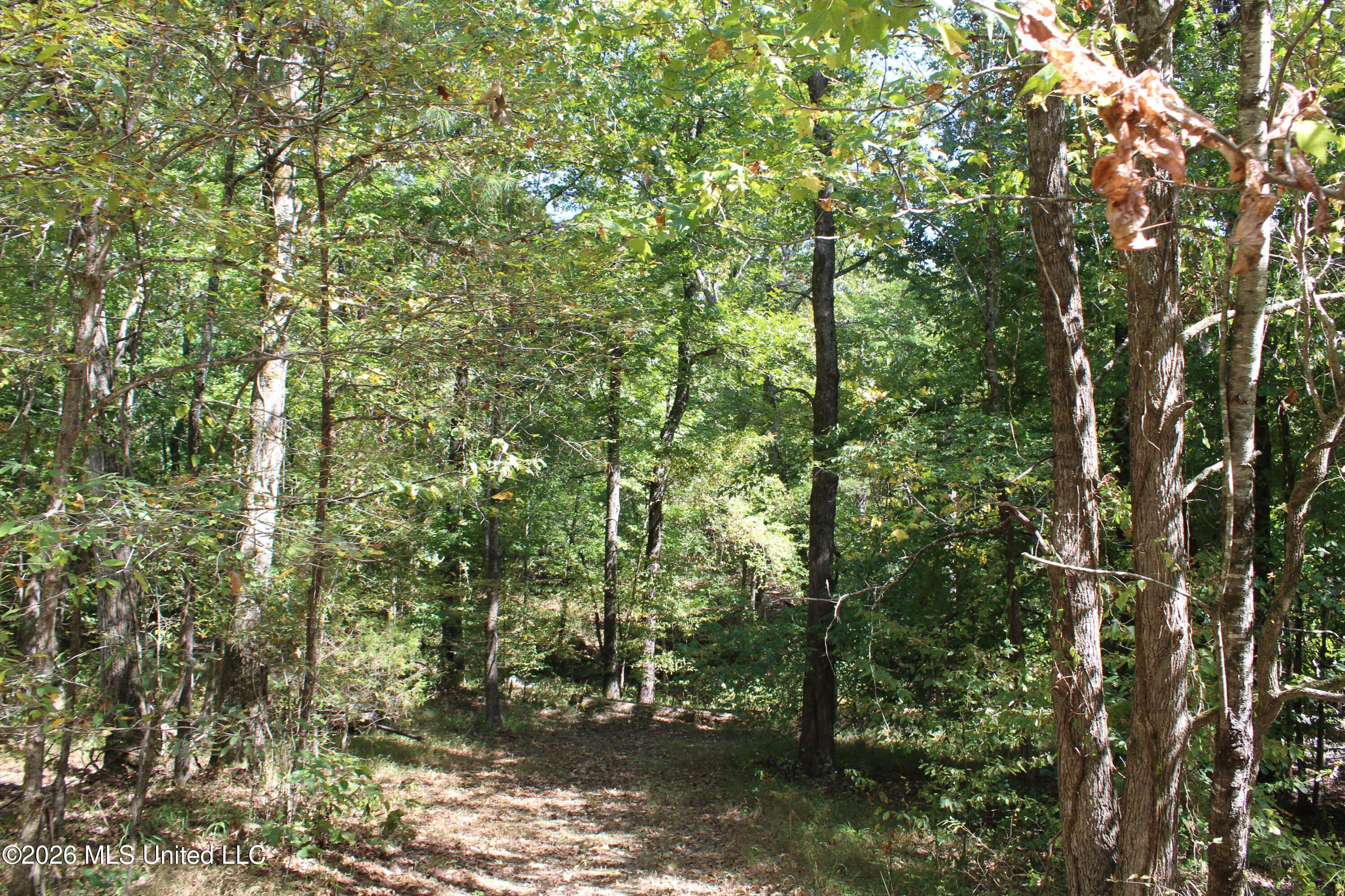 289 Saint Paul Road Property Photo 30