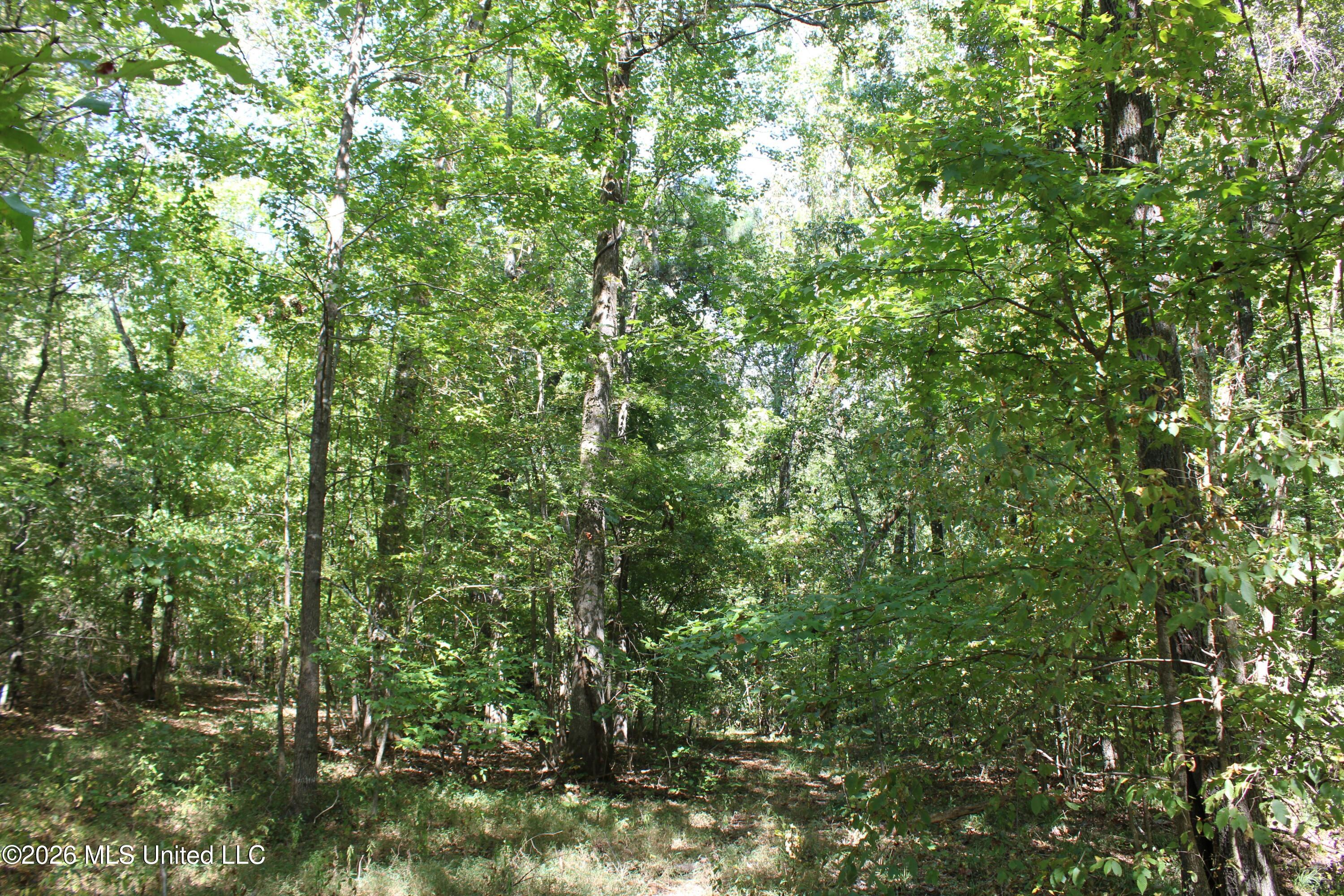289 Saint Paul Road Property Photo 31