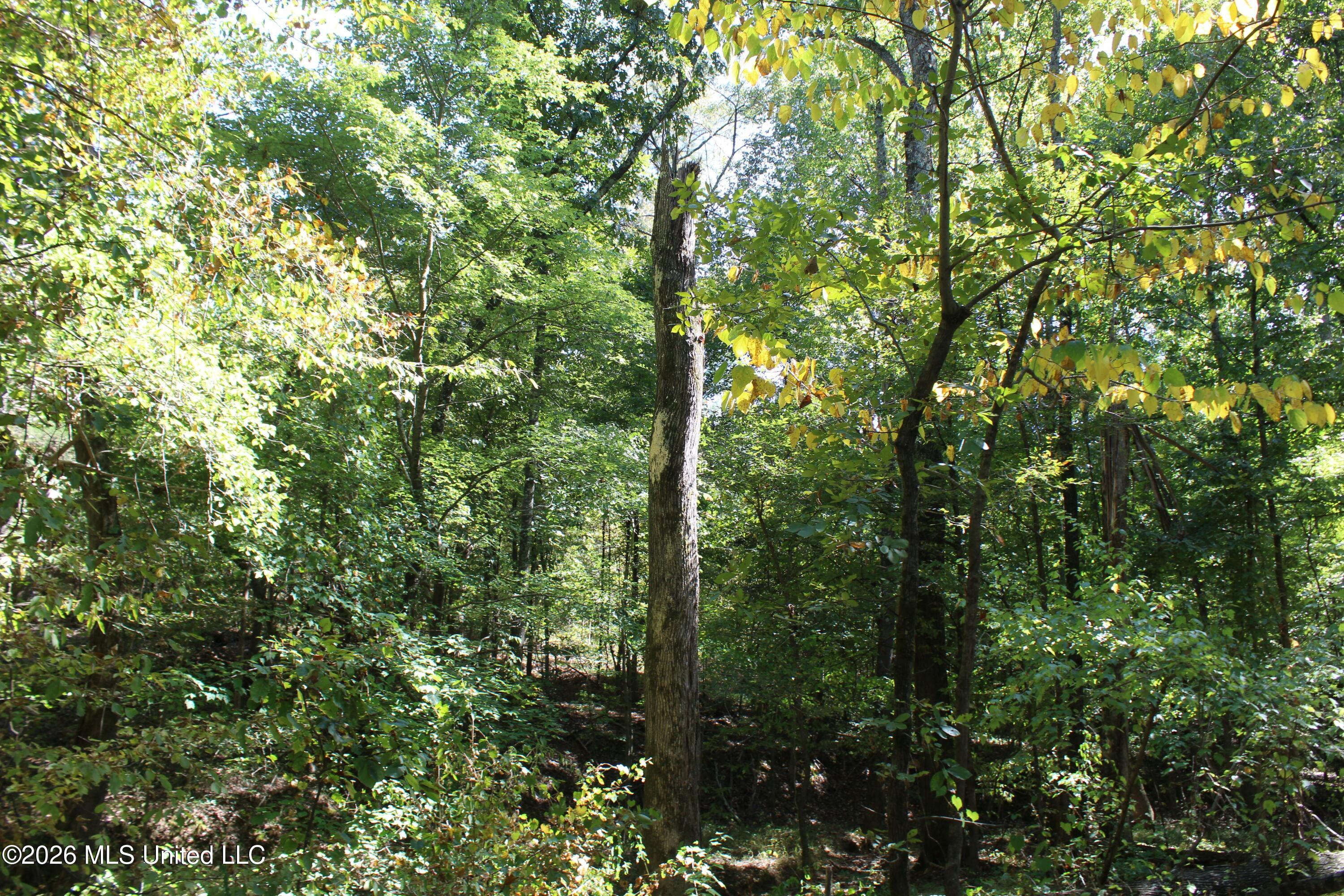 289 Saint Paul Road Property Photo 32