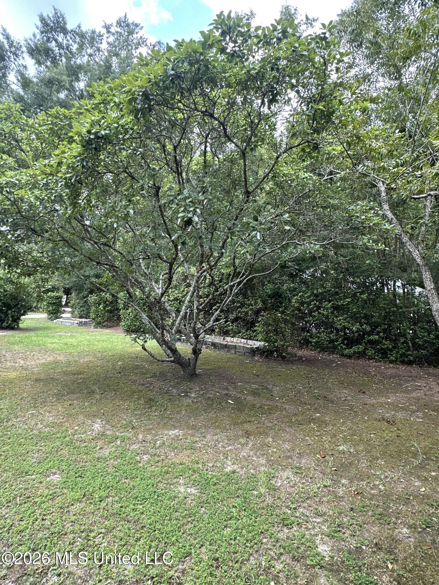 2829 Dolphin Drive Property Photo 35
