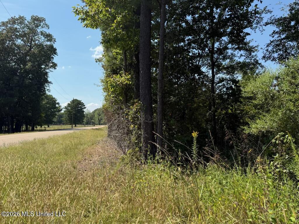 Jims Road Property Photo 3