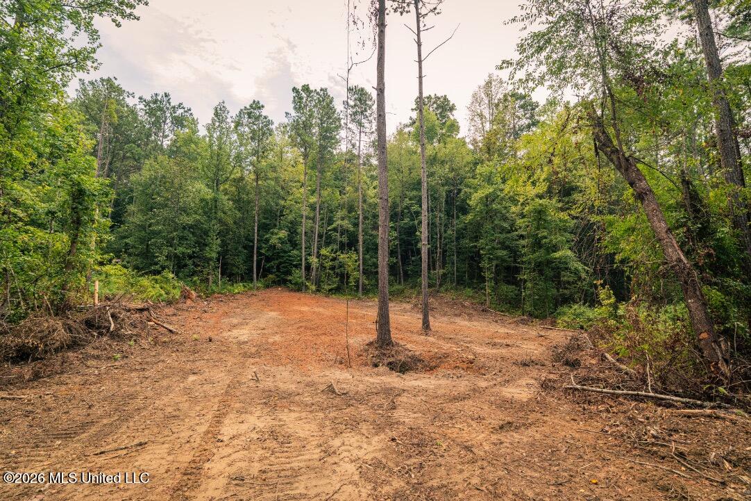 3 Smyrna Road Sw Property Photo 22