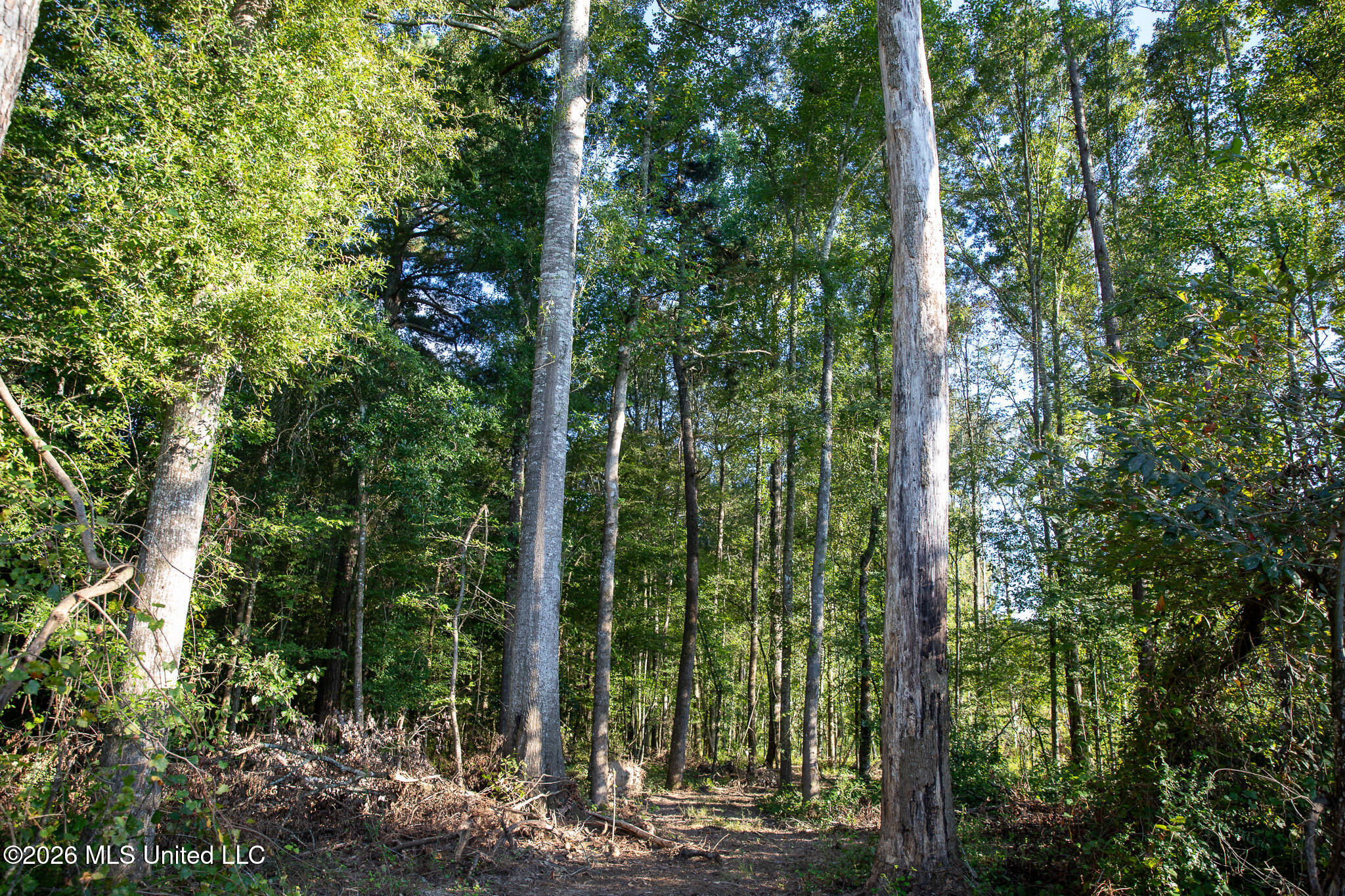 Owen Boone Road Property Photo 6
