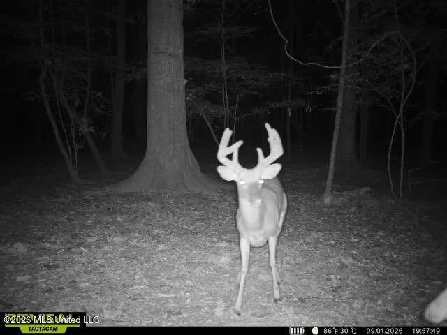 Owen Boone Road Property Photo 9