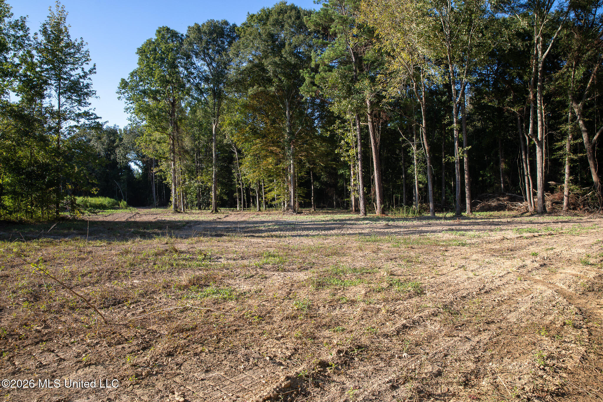 Owen Boone Road Property Photo 16